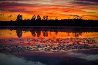 A vibrant sunset over a calm lake reflecting fiery orange and pink hues.