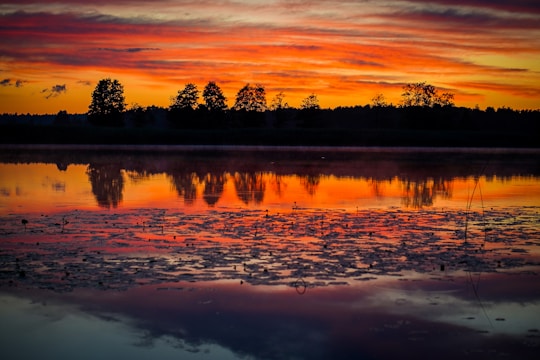 A vibrant sunset reflecting off a calm lake with silhouetted trees.