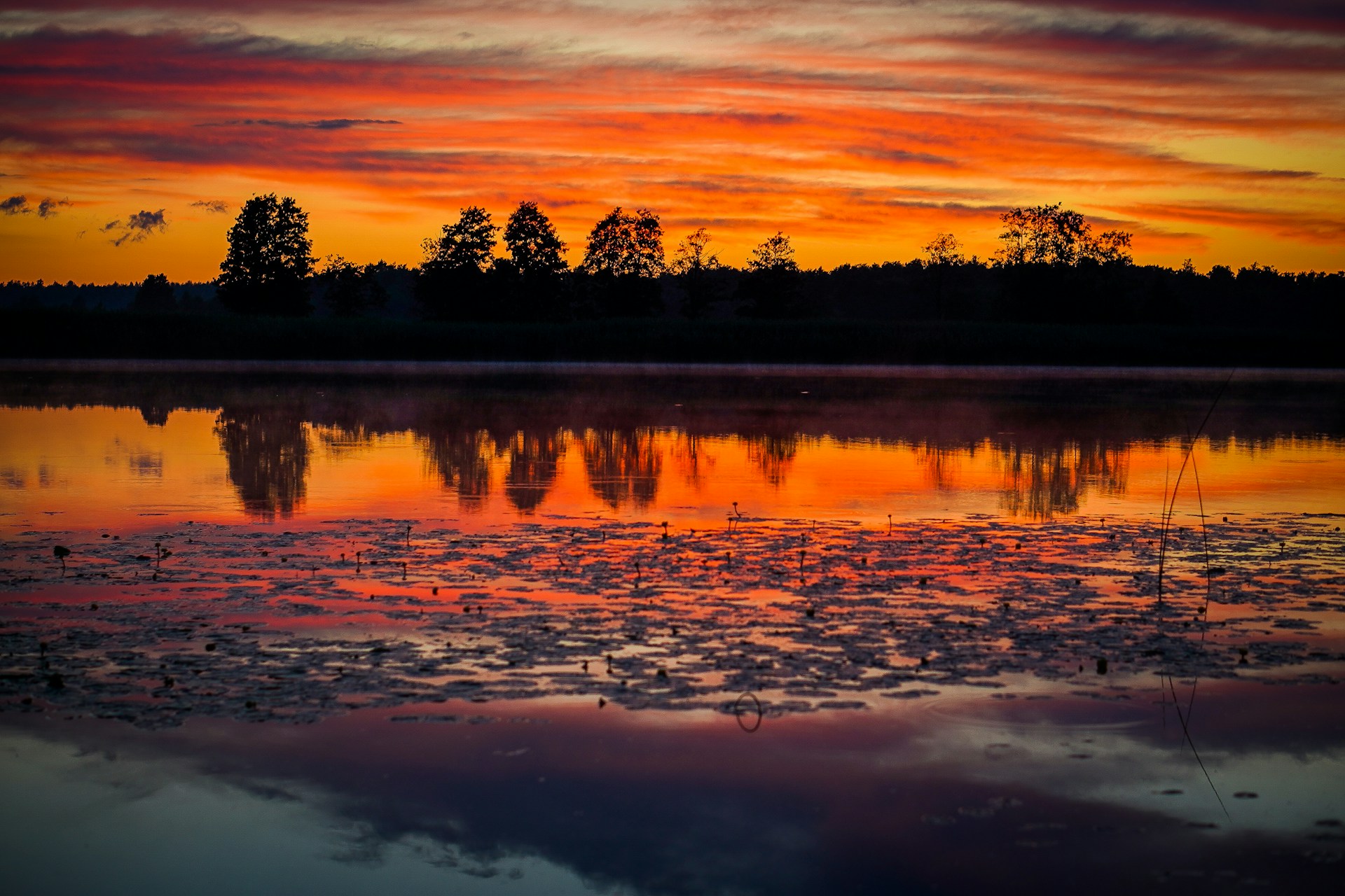 A vibrant sunset over a misty lake, the sky ablaze with oranges and purples, reflecting perfectly on the water's surface.