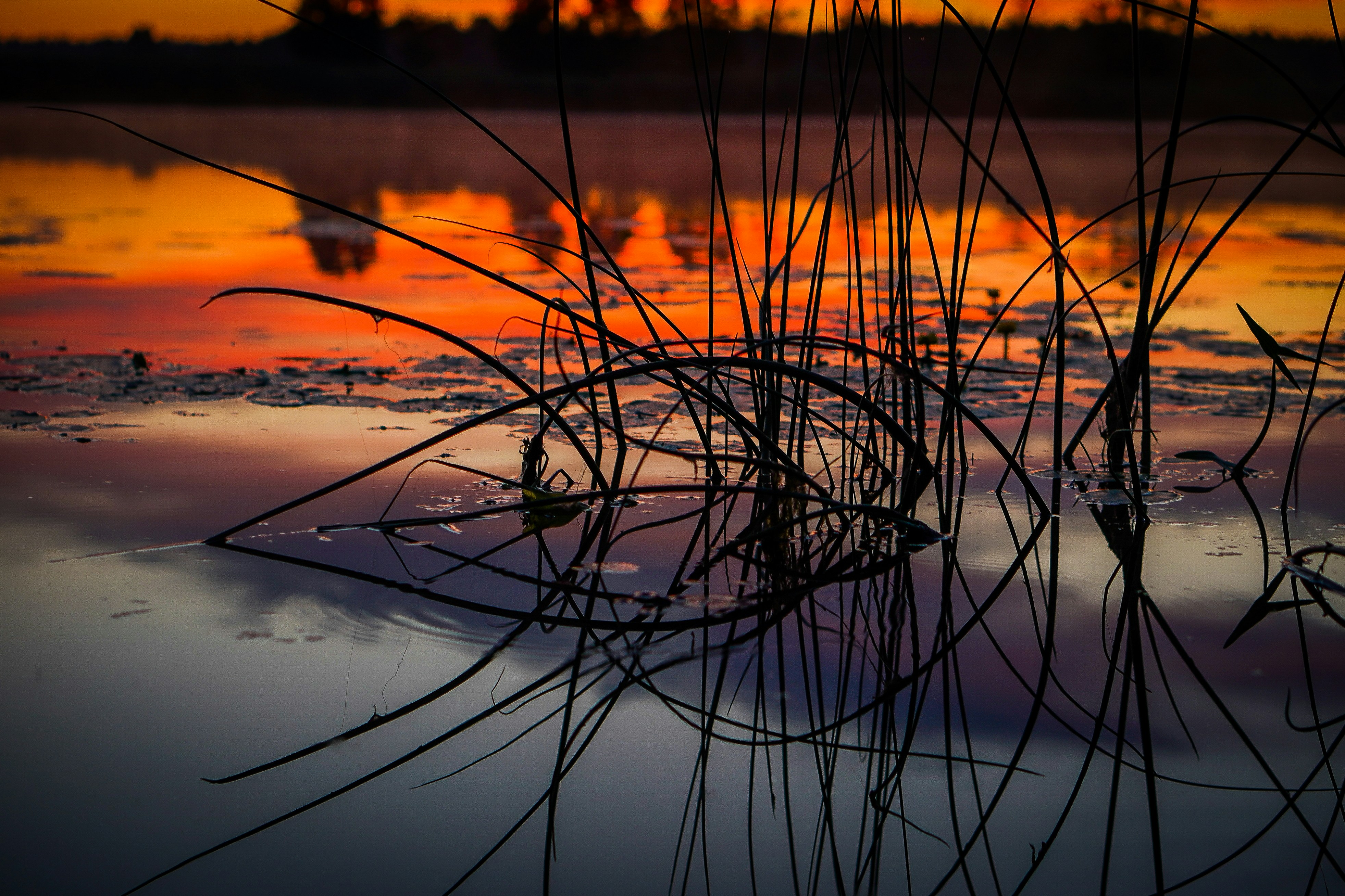 Make a Girl Fall for You