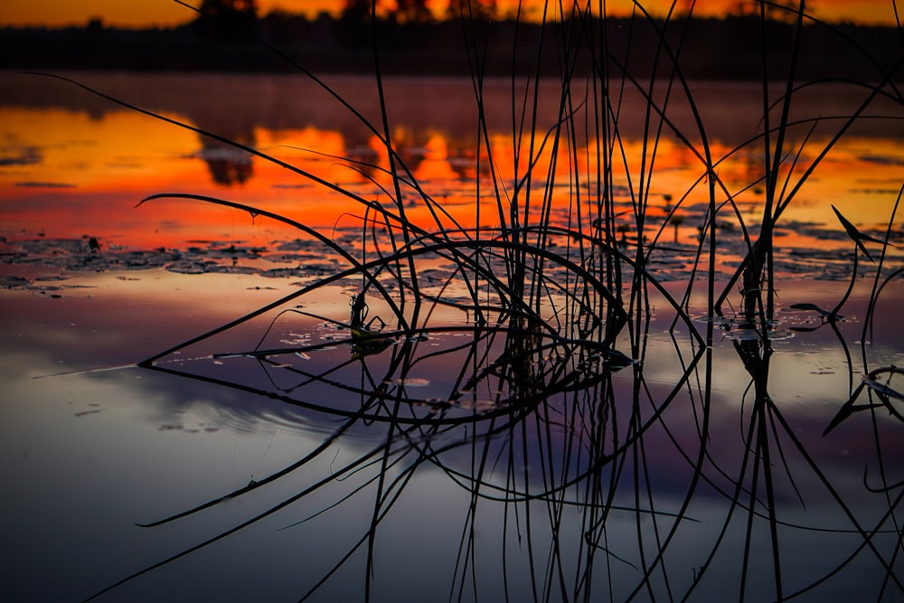 the sun is setting over a body of water