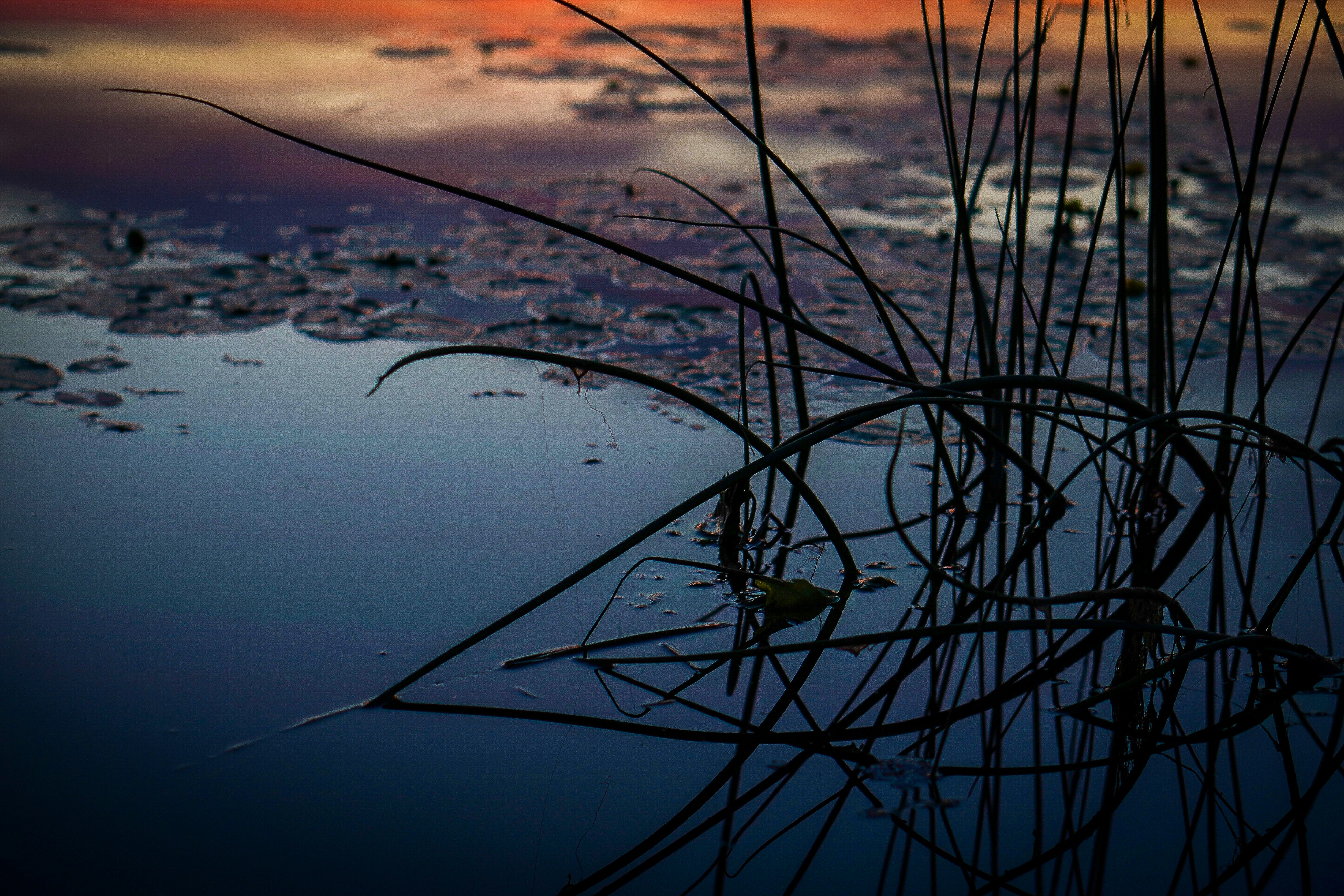 Make a Girl Fall for You