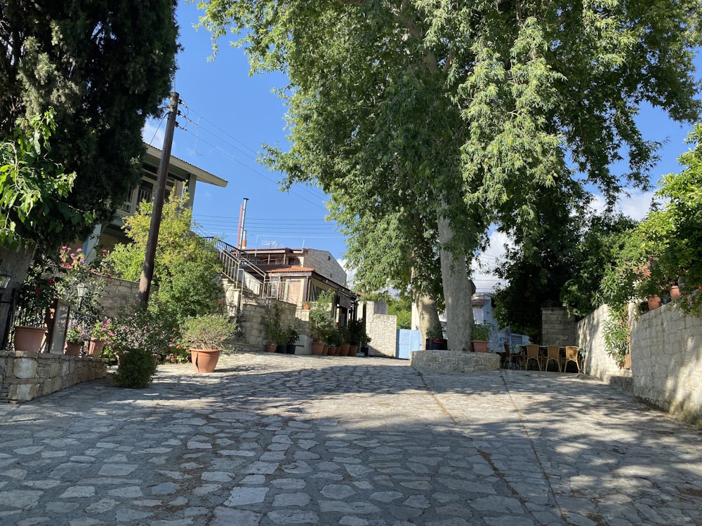 a cobblestone street with trees and buildings in the background