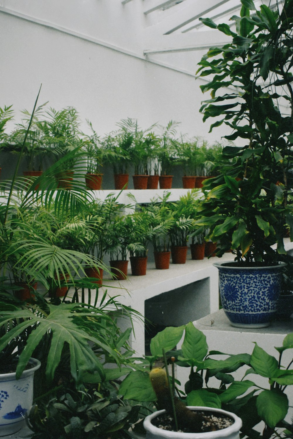 a room filled with lots of potted plants