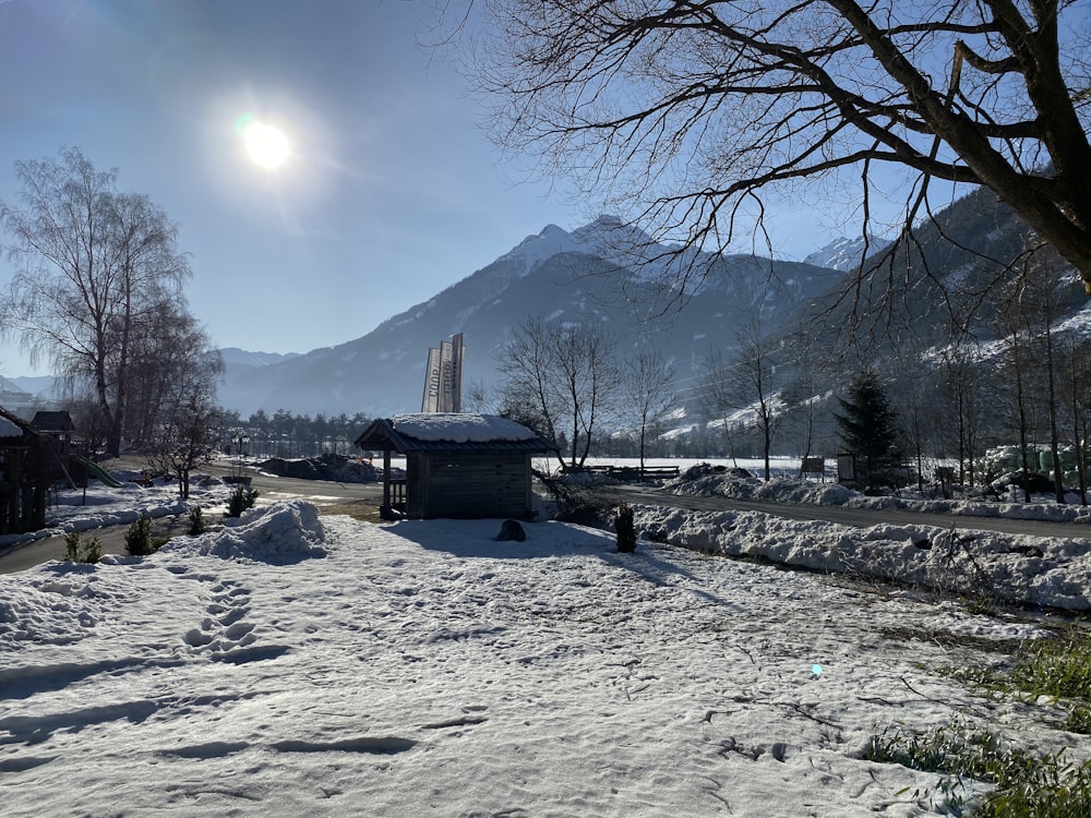 the sun shines brightly over a snowy landscape