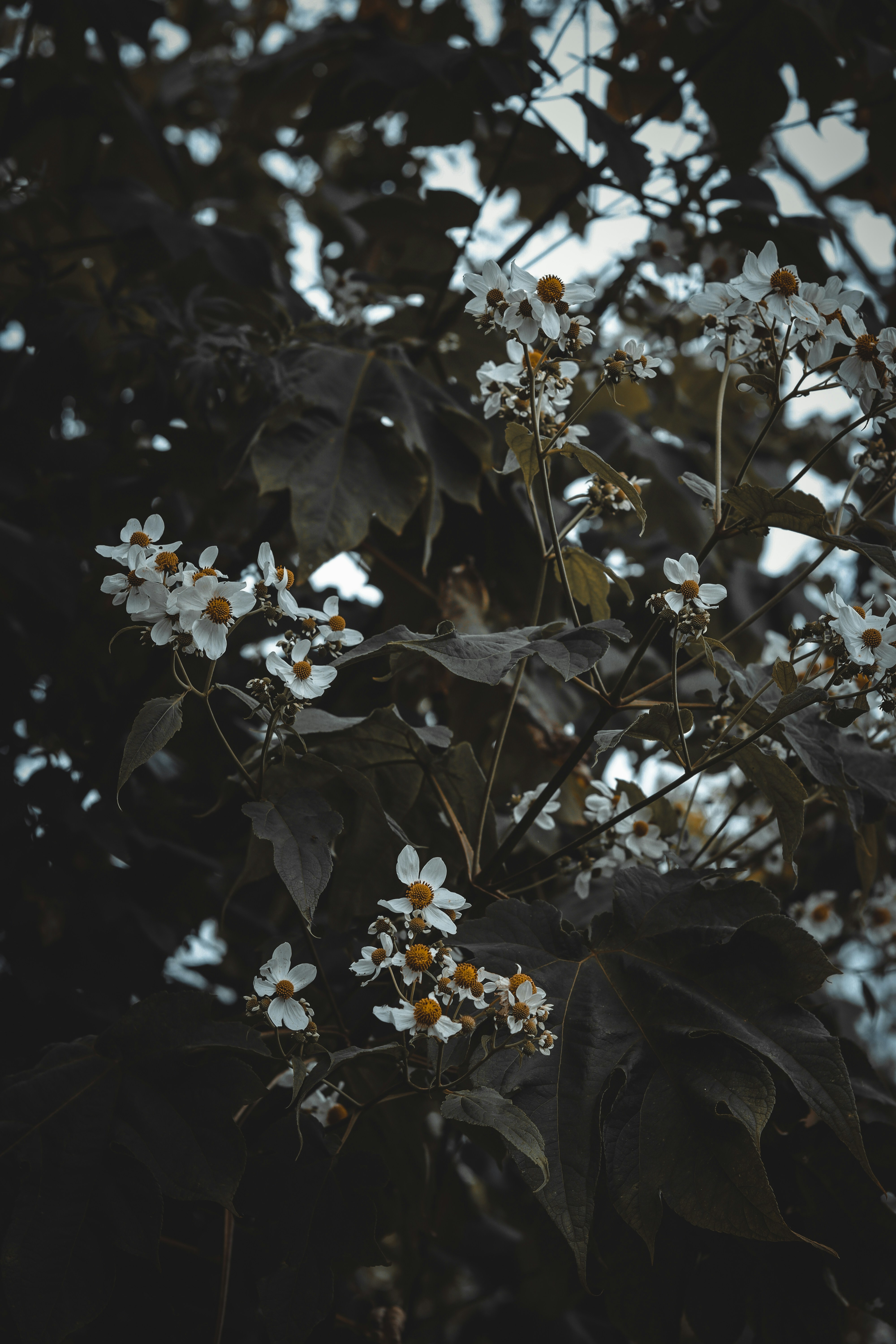 Photo by _250d_stories_