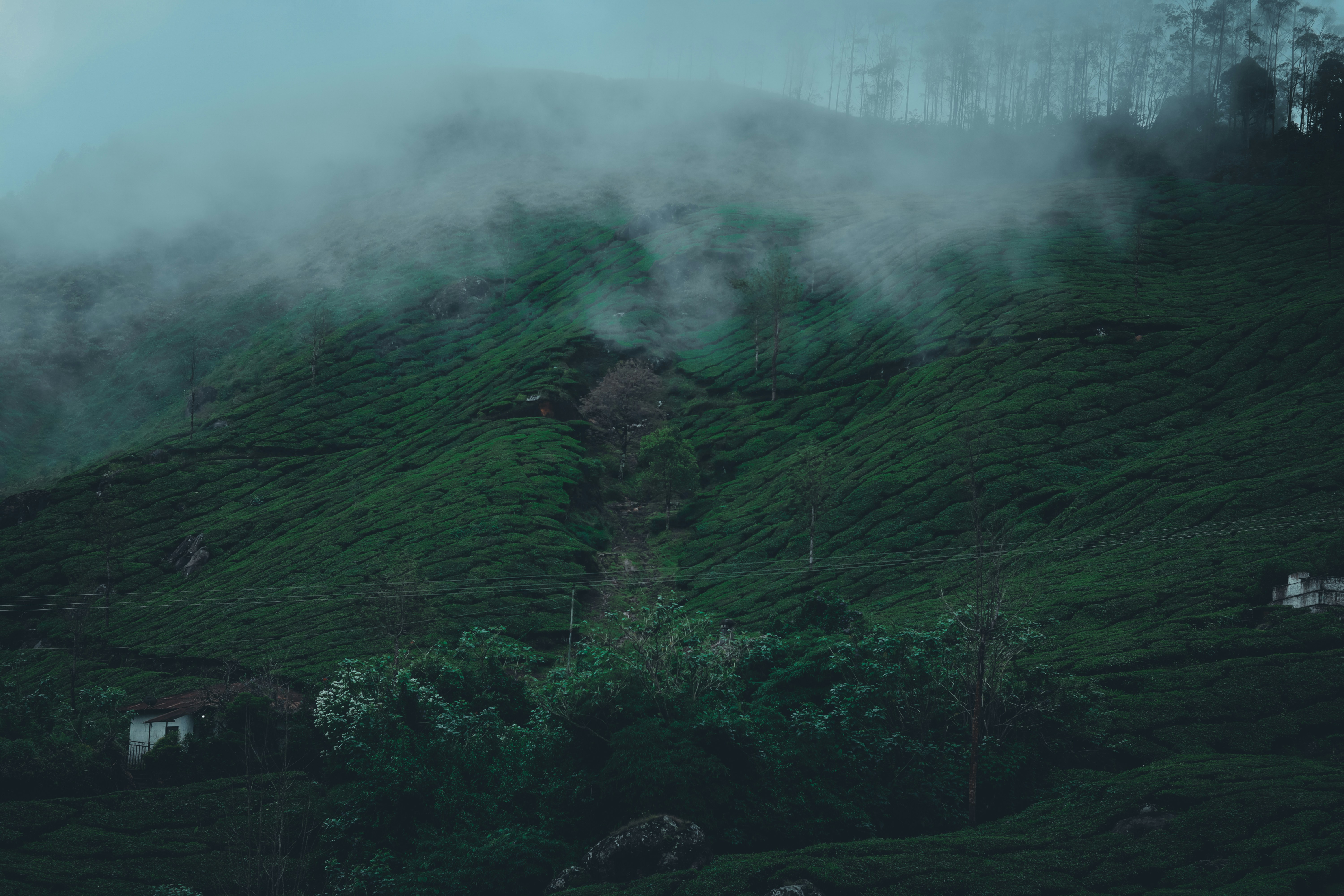 Photo by _250d_stories_