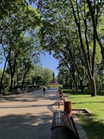 A tranquil park area with walking paths and benches.