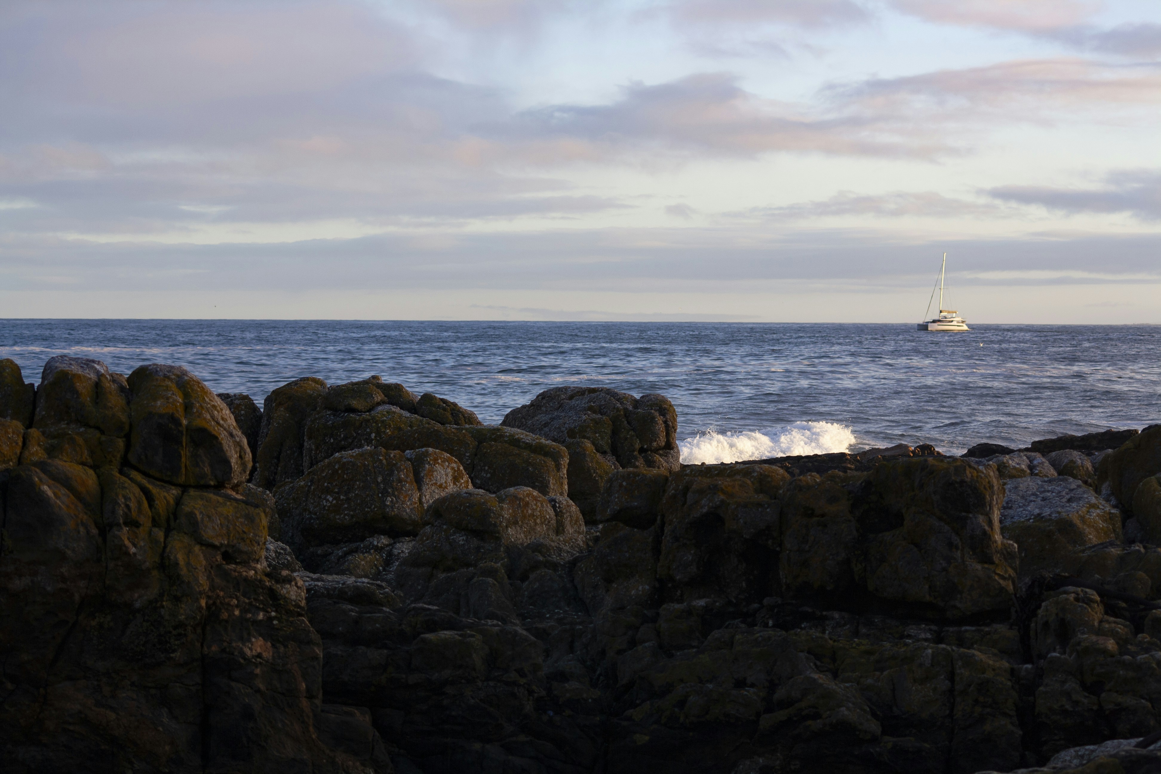 Photo by amy_harrison