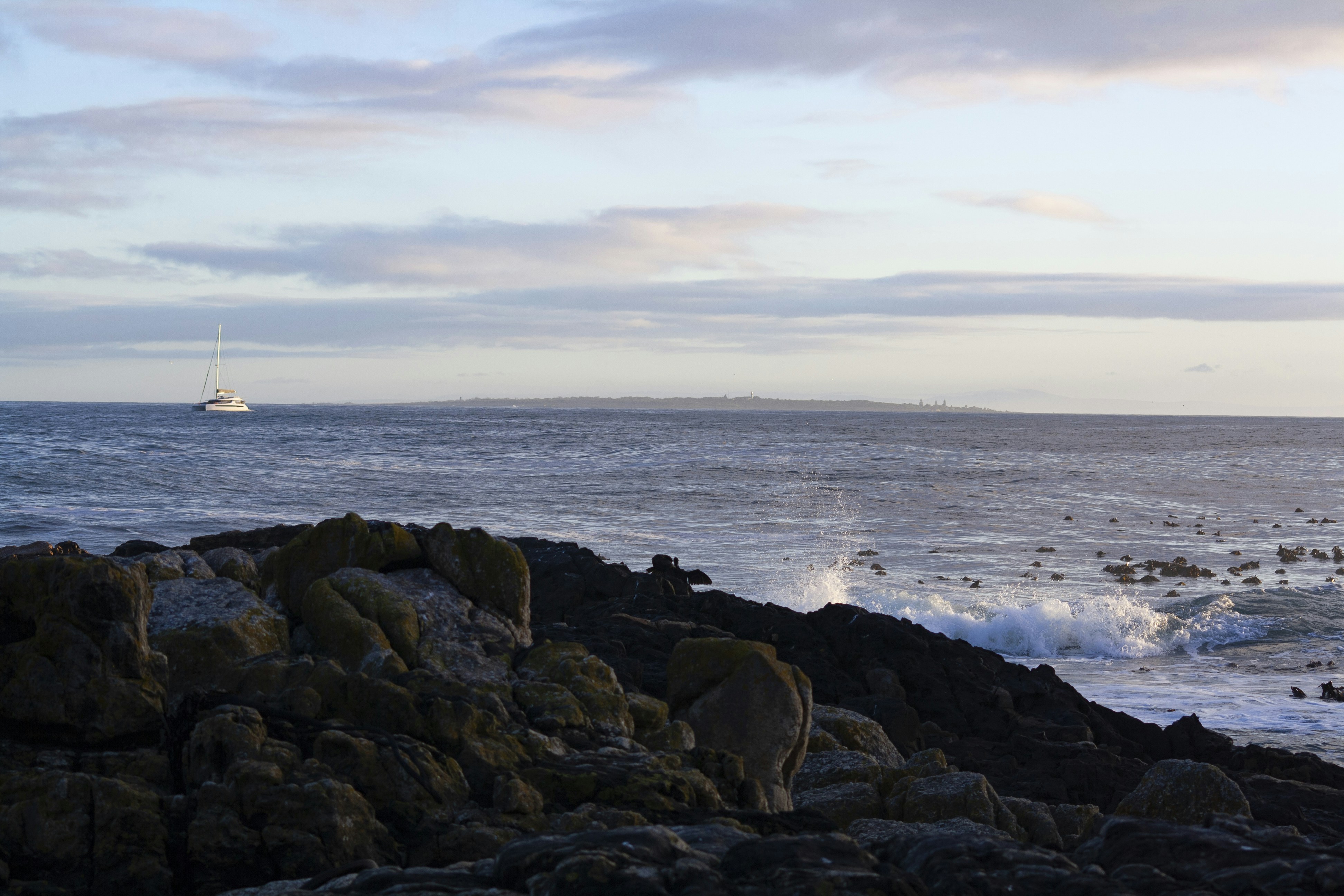 Photo by amy_harrison