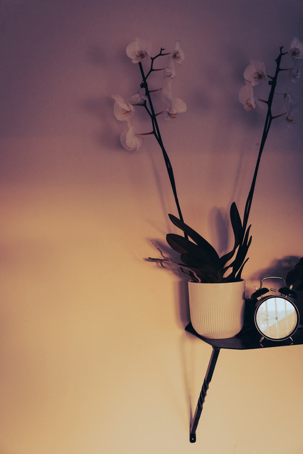 a white vase with flowers on a shelf