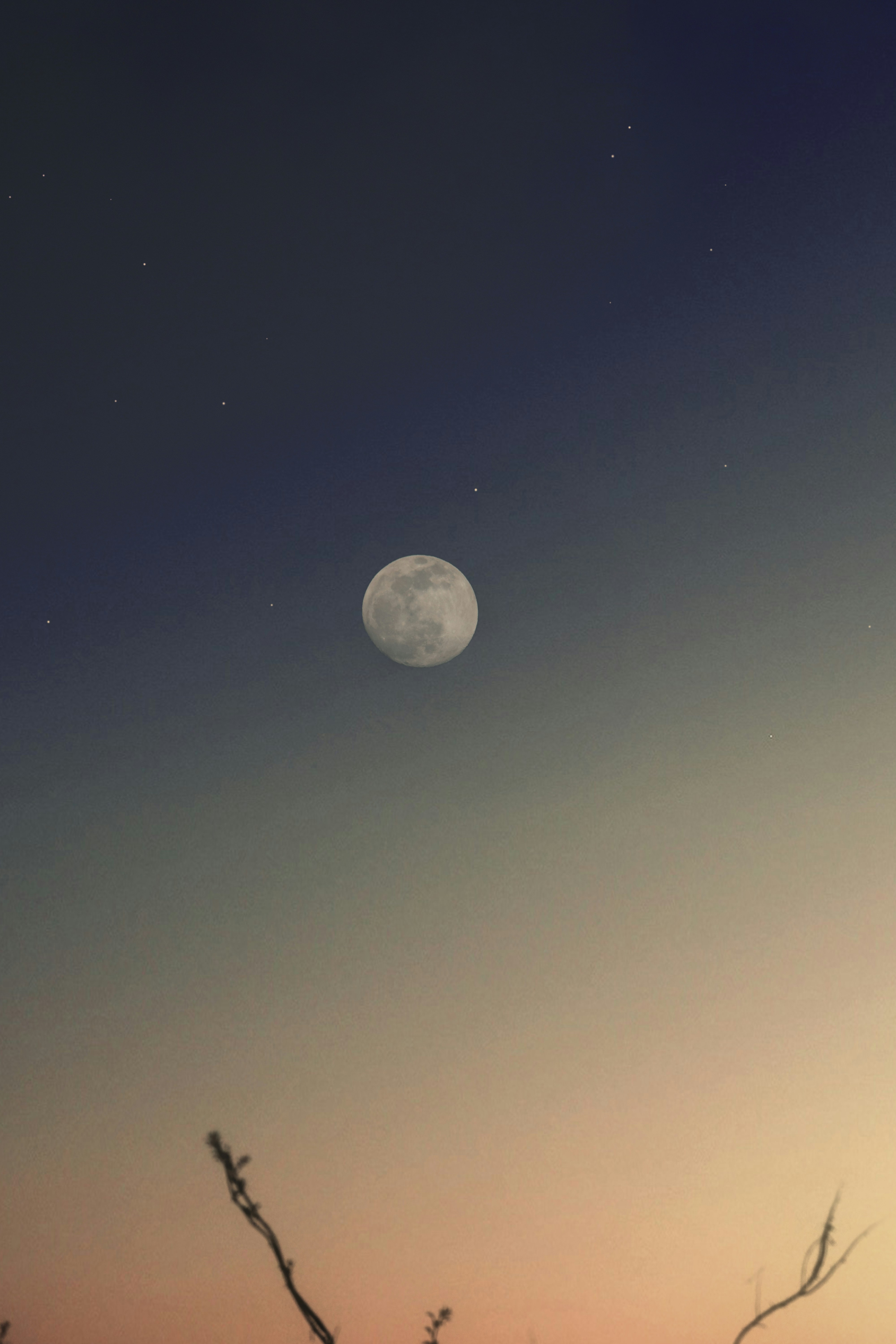 Photo by reinaldogaranito