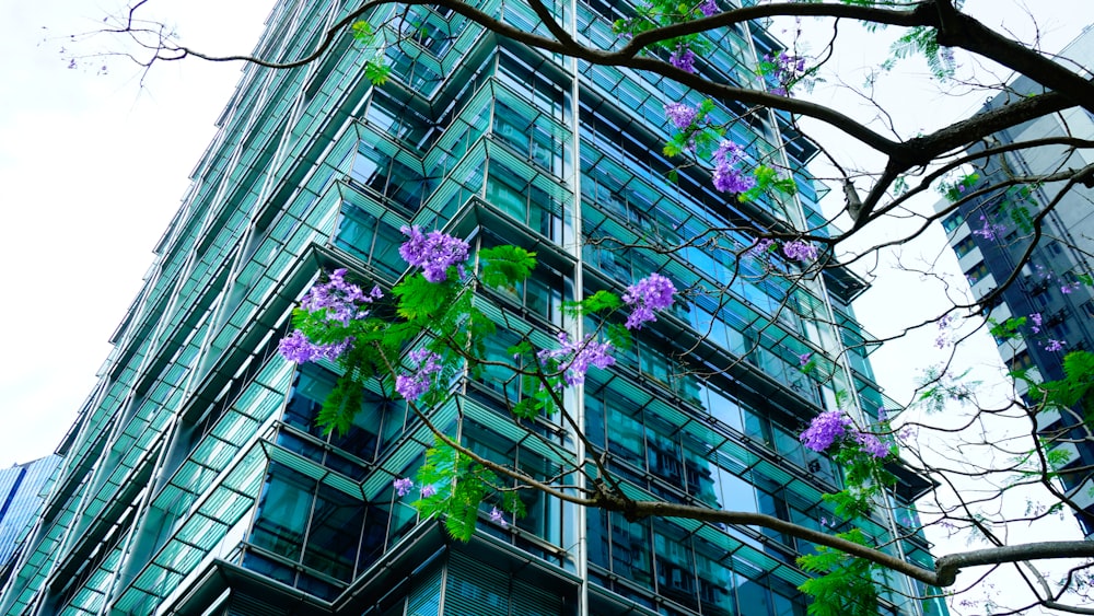 a tall glass building