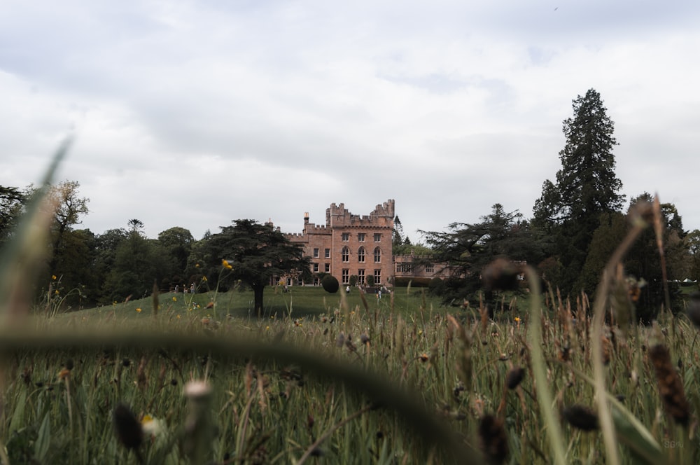 a large building sitting on top of a lush green field