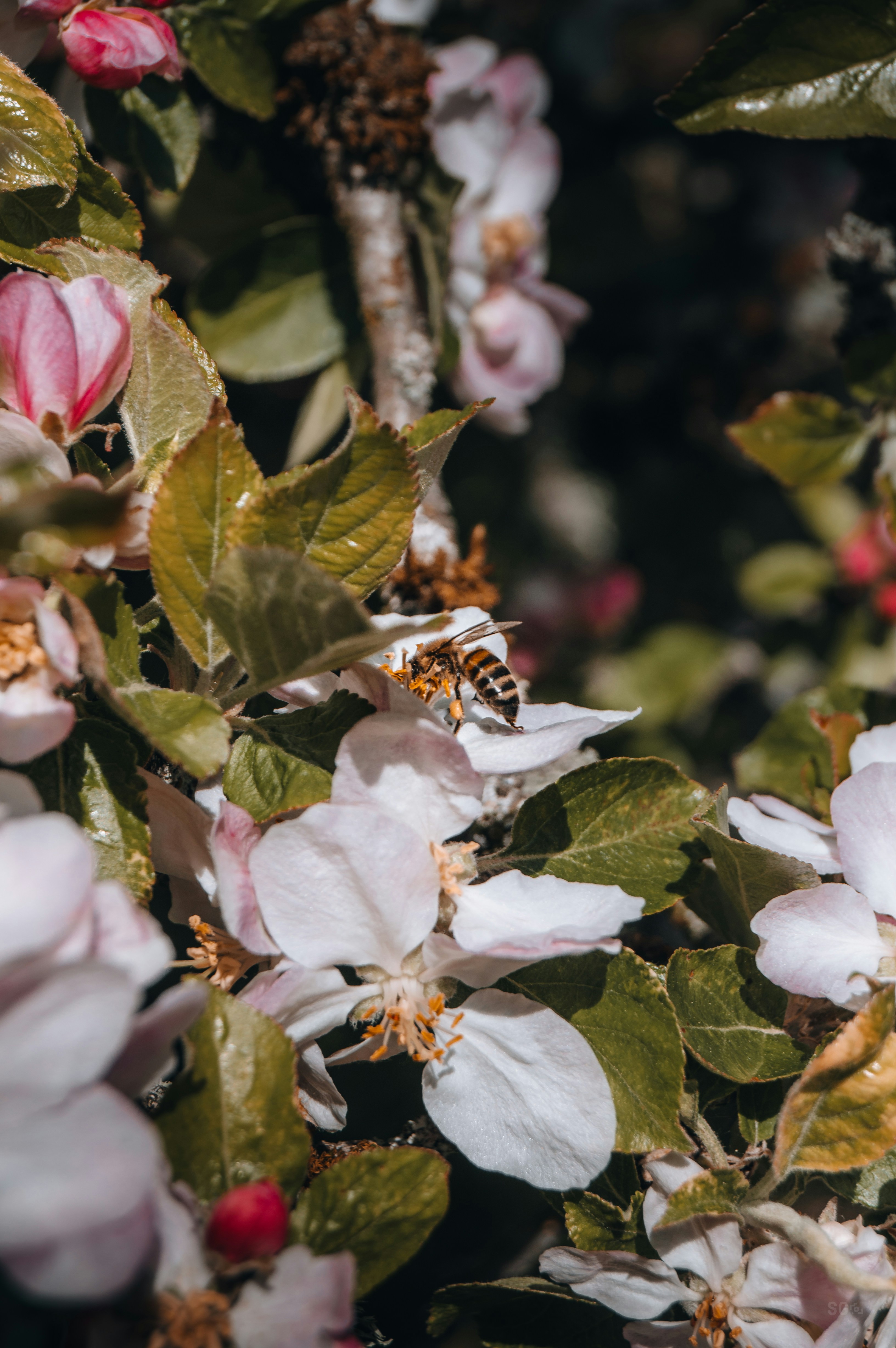 woman wearing yellow long-sleeved dress under white clouds and blue sky during daytime