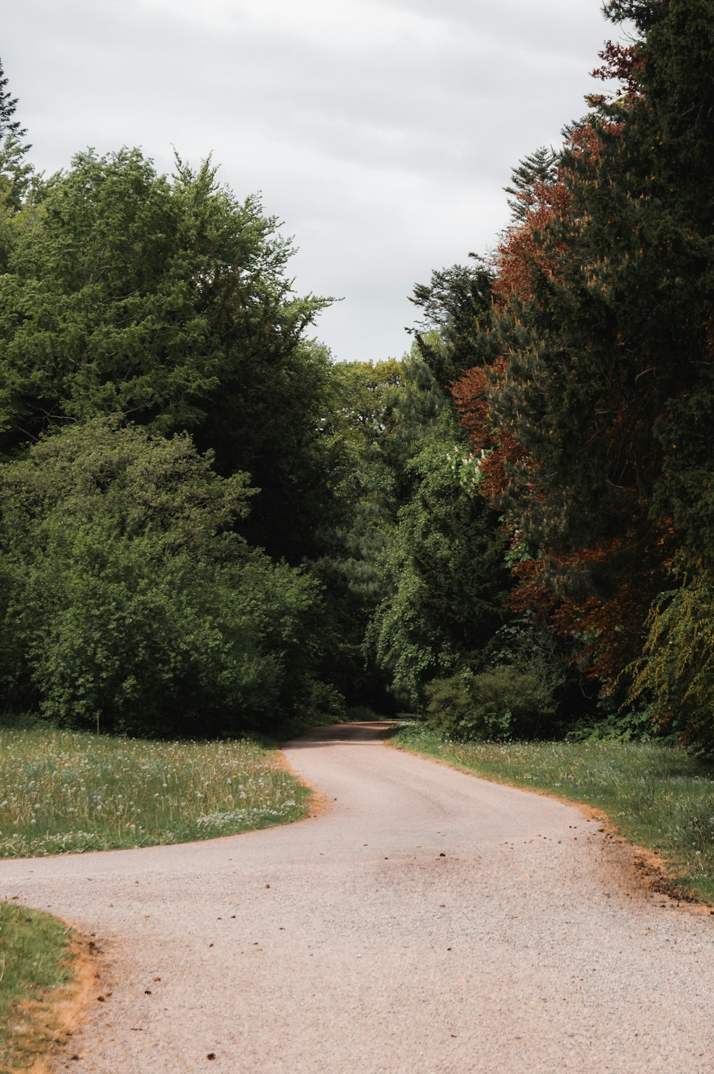 a dirt road surrounded by trees and grass