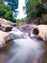 a stream of water running through a lush green forest