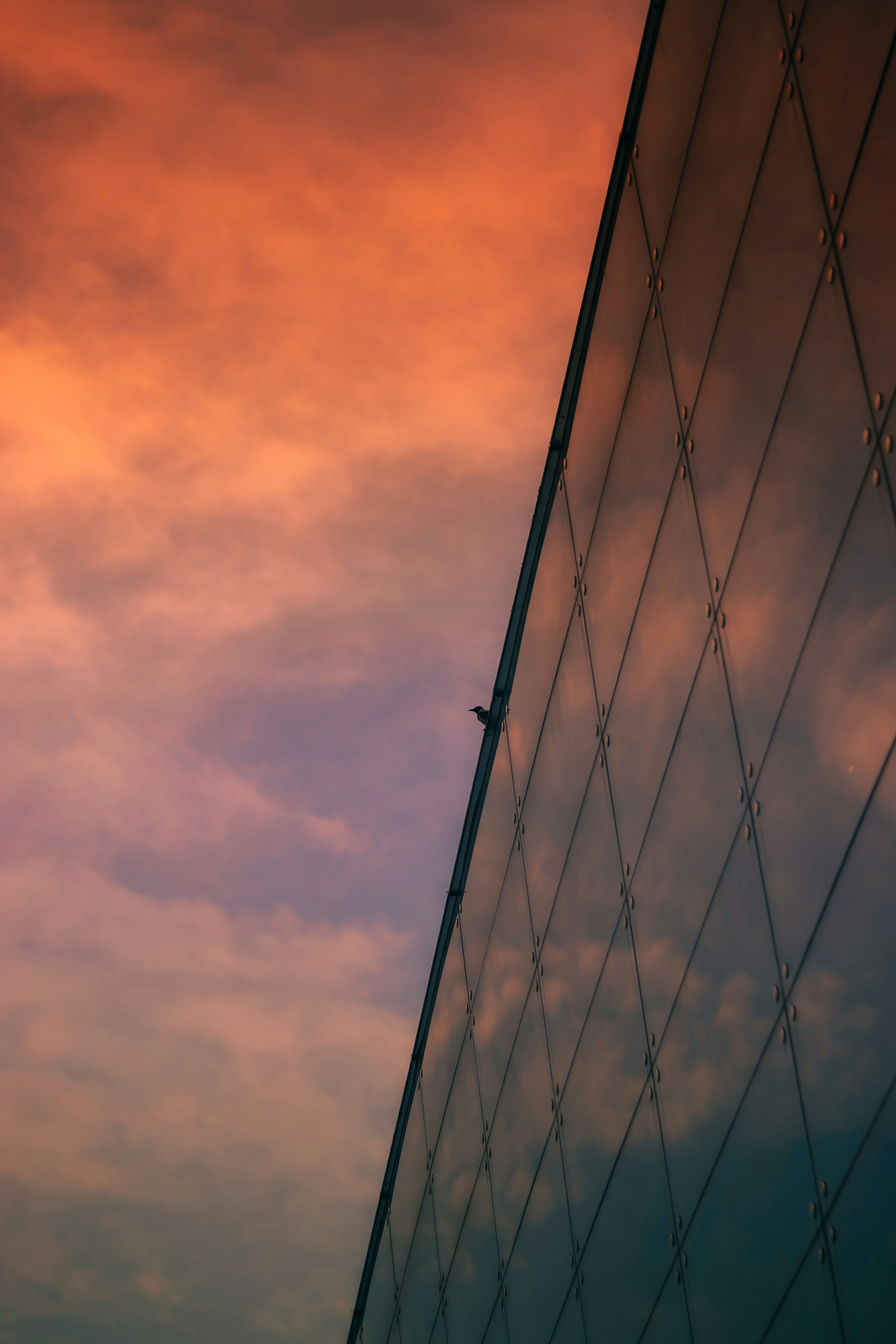 Photo by amirrnaseri