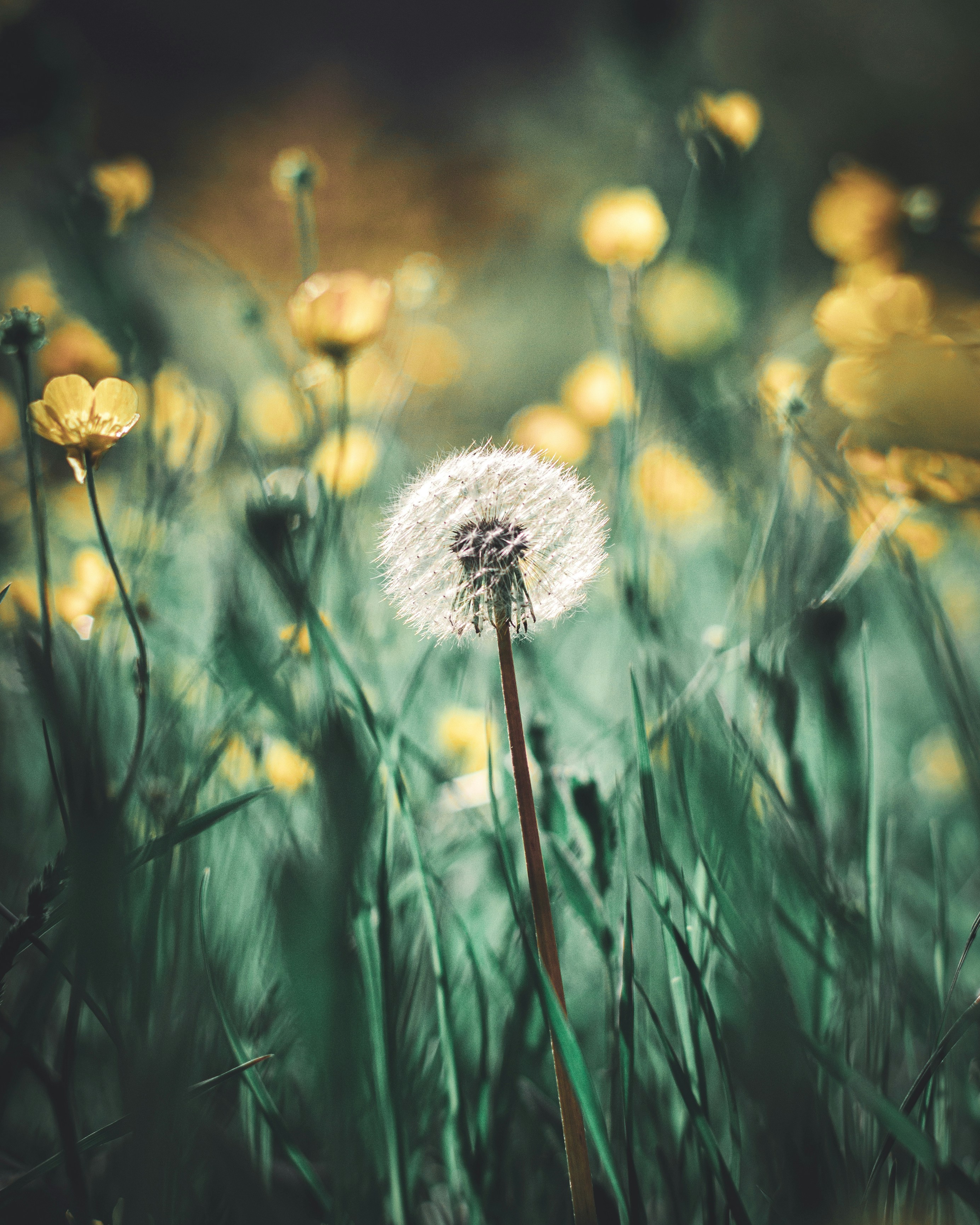 Photo by m_mohammadpour