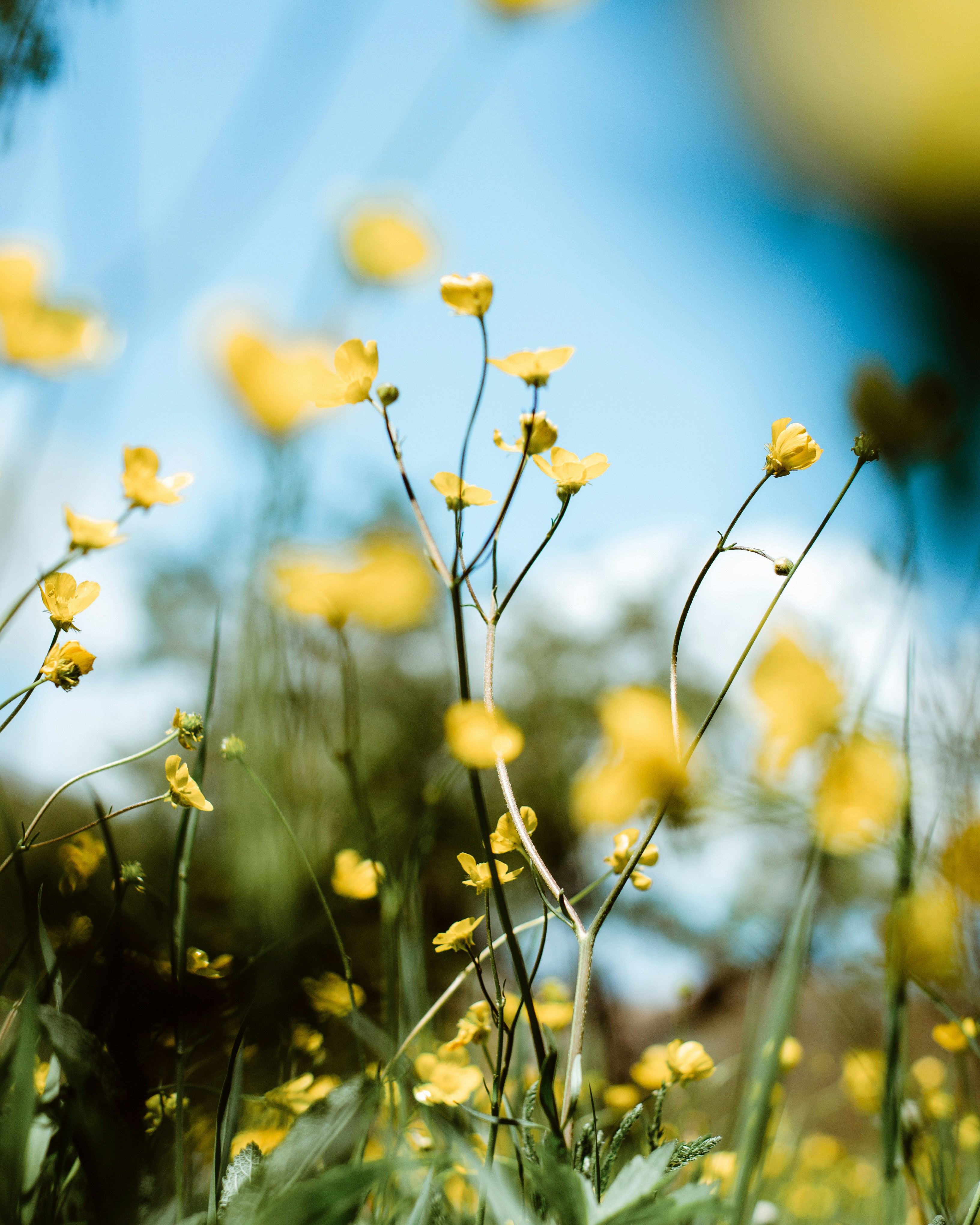 Photo by m_mohammadpour