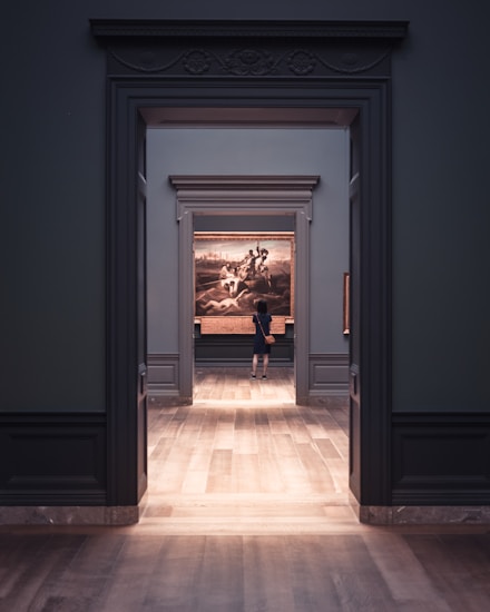 A person is standing and observing a large painting in an art gallery. The image is taken through a series of doorways, creating a frame-within-a-frame effect. The gallery has polished wood flooring and dark-colored walls with detailed moulding. The painting being observed appears to depict a historical or classical scene.