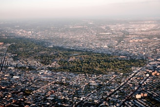 an aerial view of a city with lots of trees