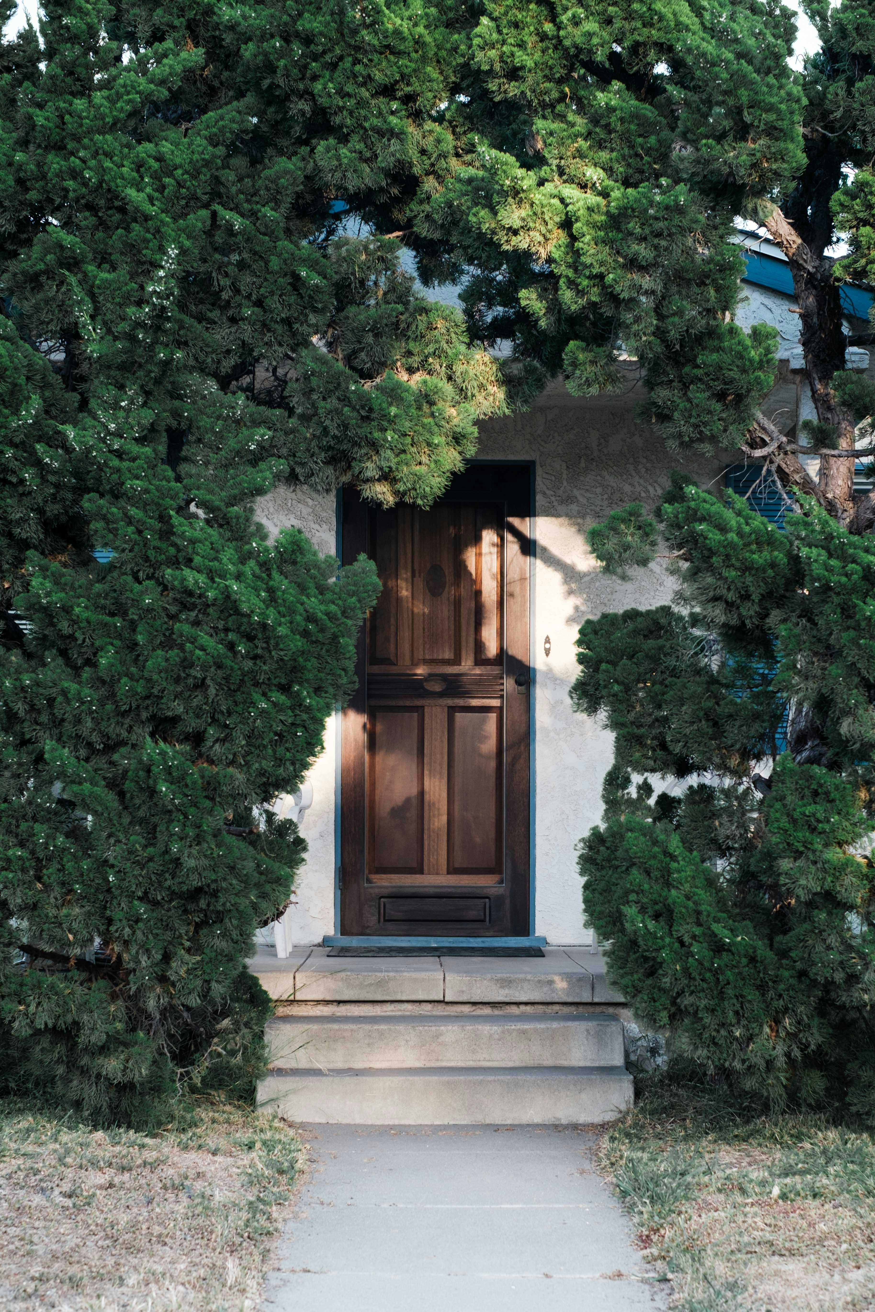 a house with a brown door surrounded by trees