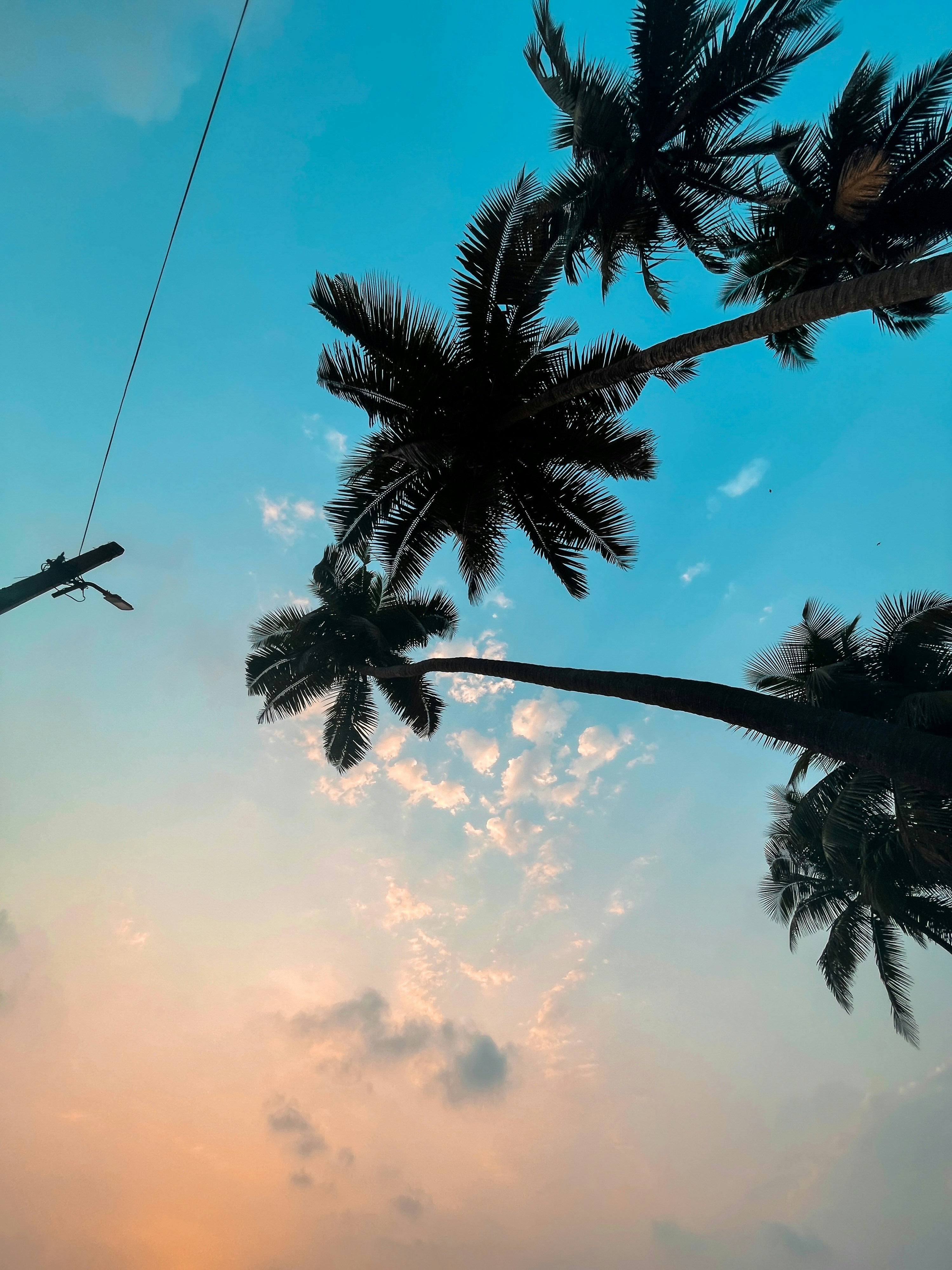 Photo by akshaybhilare07