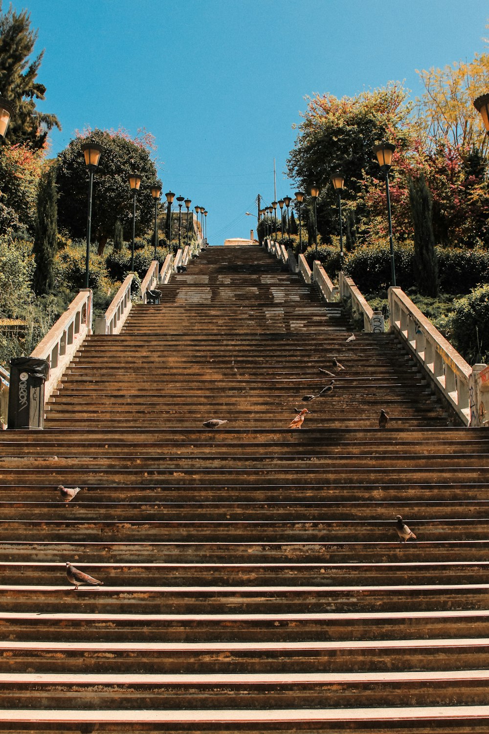 un escalier menant au sommet d’une colline