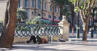A person is lying on the ground near a decorative railing in an outdoor urban setting. The scene is framed by trees, with a large building and palm trees visible in the background. There are scattered belongings and debris around the individual on the pavement.