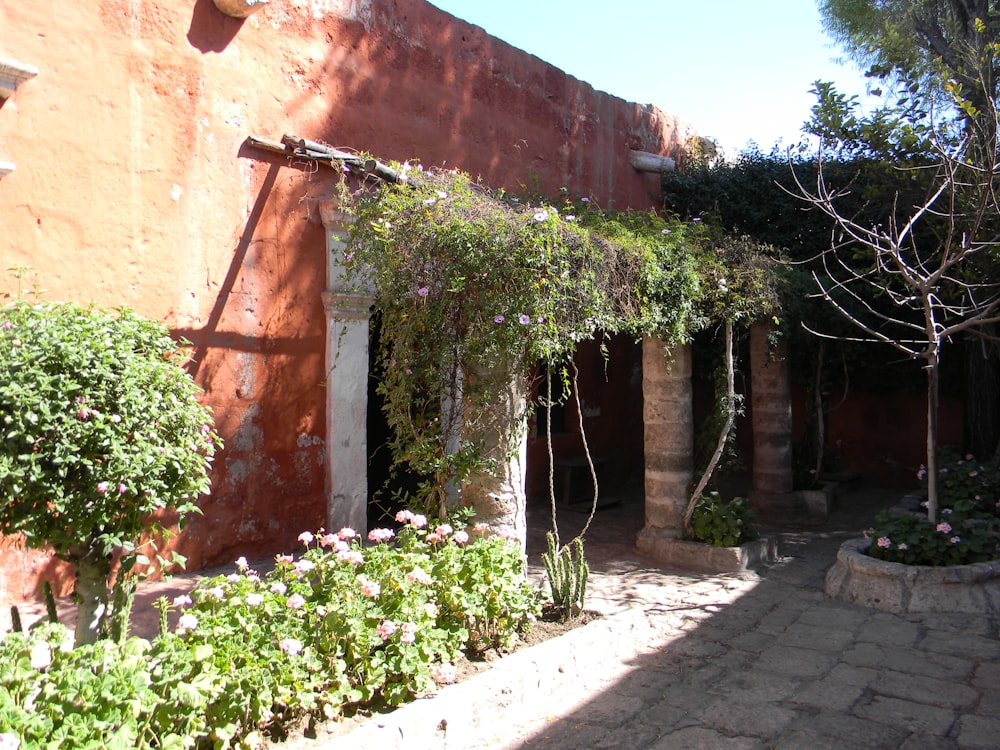 un edificio con un montón de plantas que crecen fuera de él