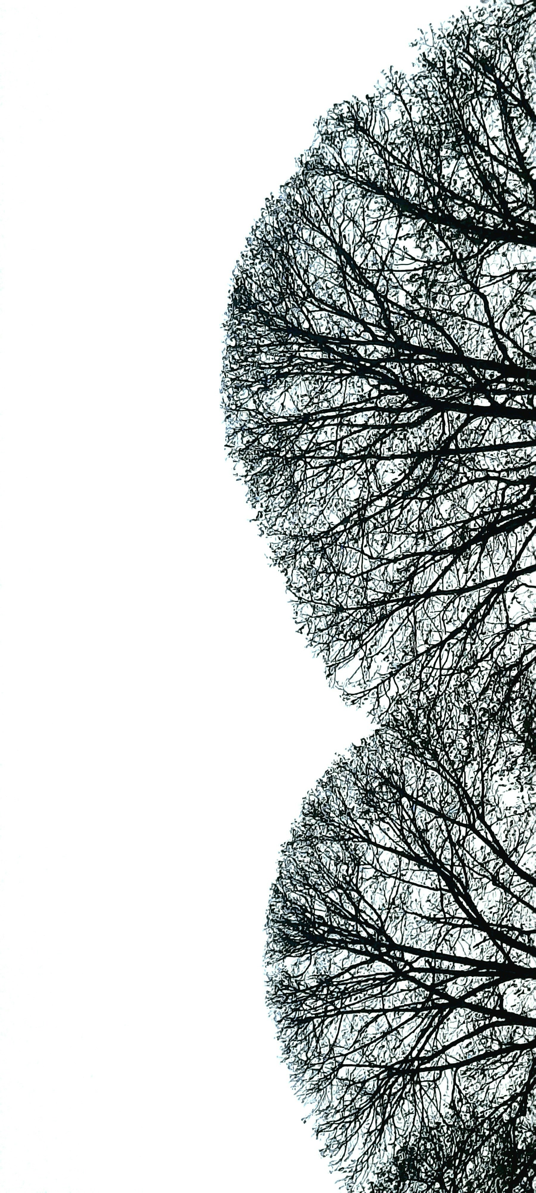 Une personne tenant un haltère, symbolisant la force mentale et physique acquise par la musculation