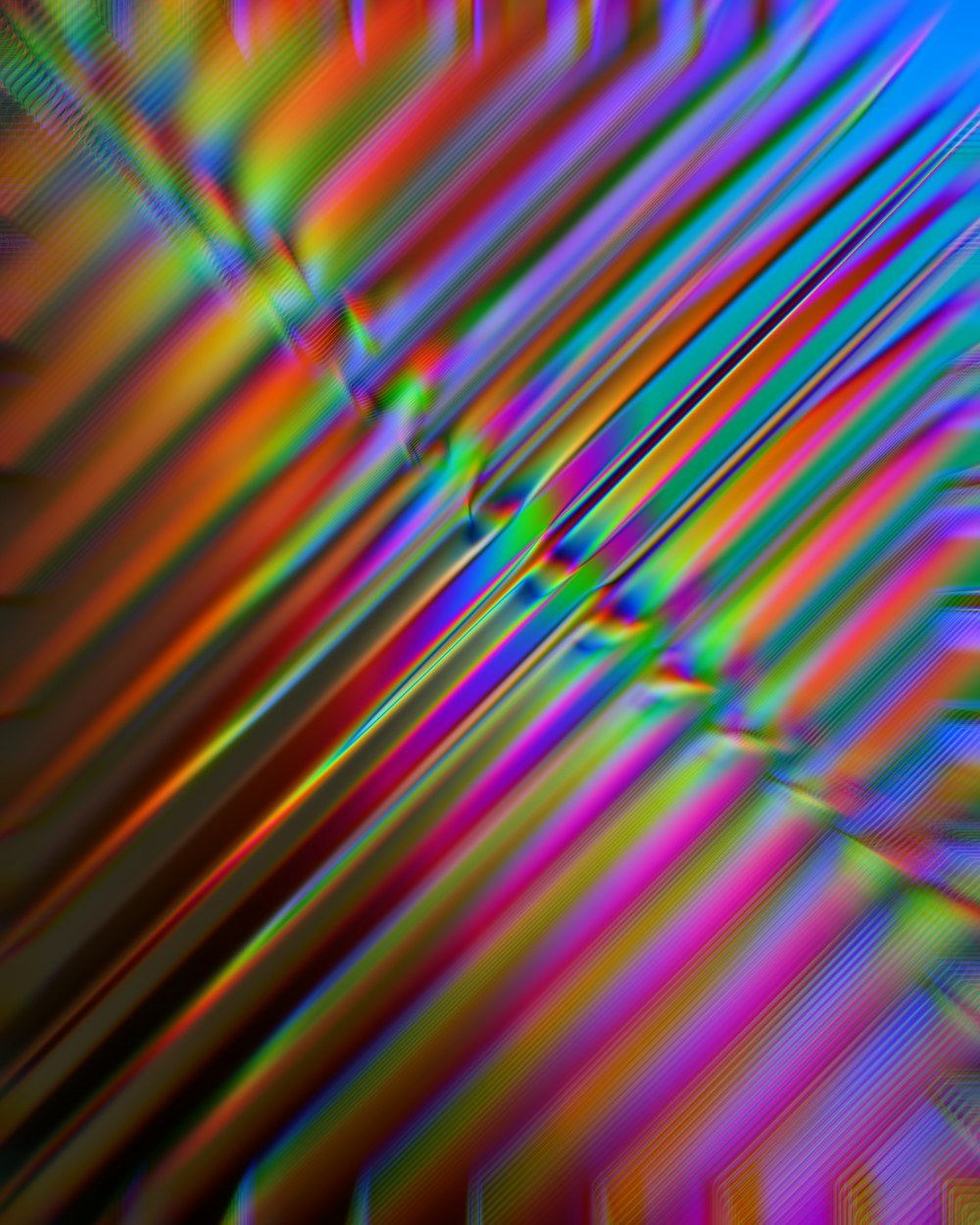 a multicolored image of a palm leaf