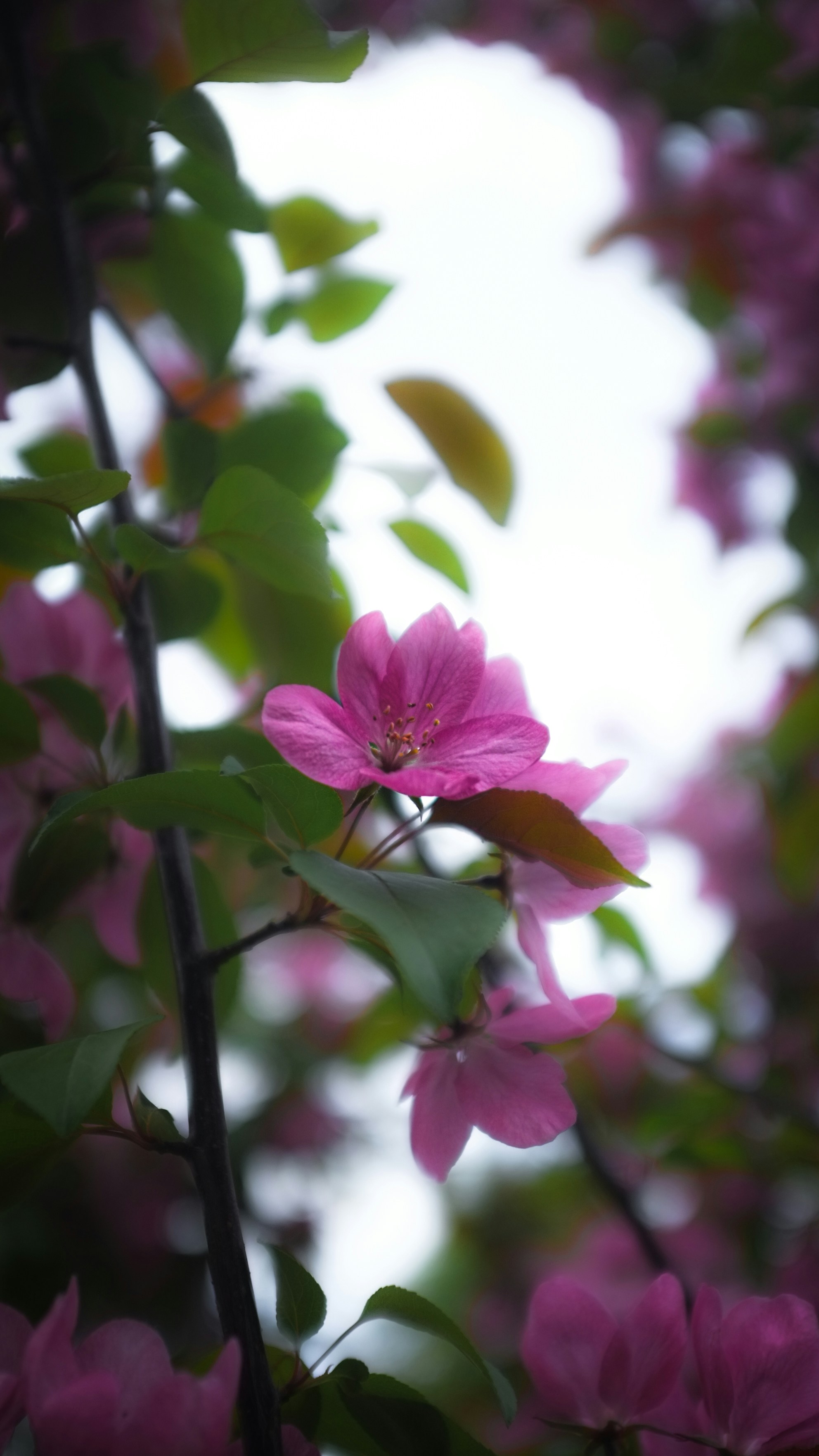 Photo by kirillpershin