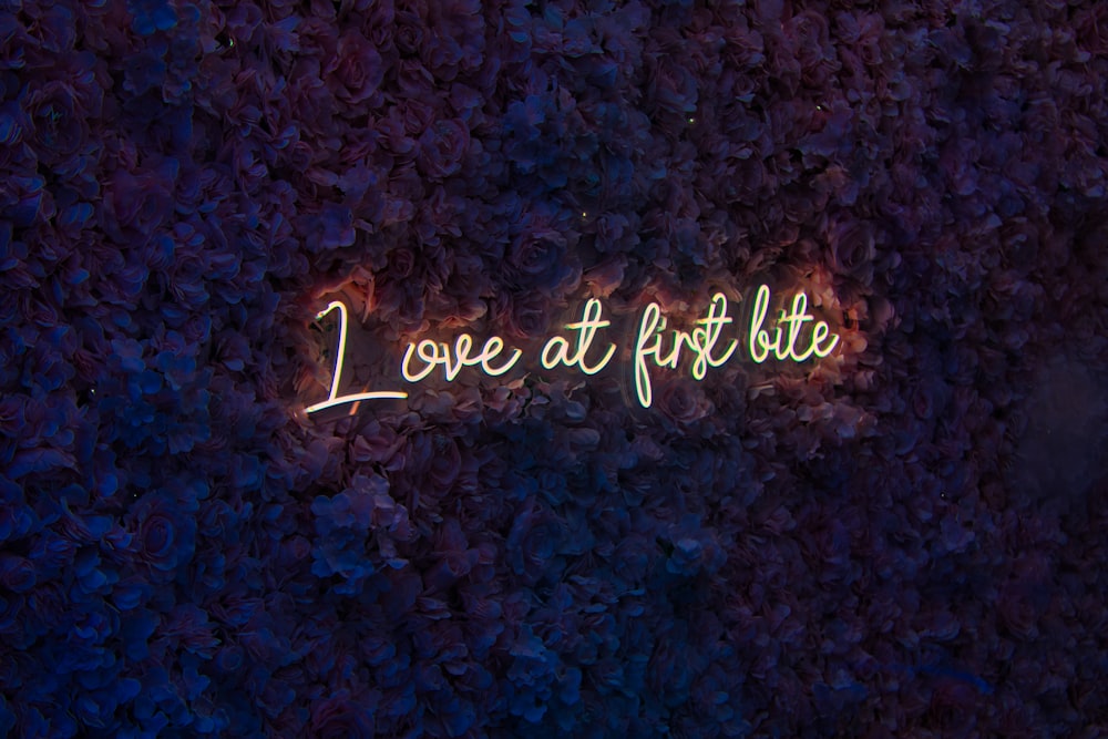 a neon sign that says love at the bite