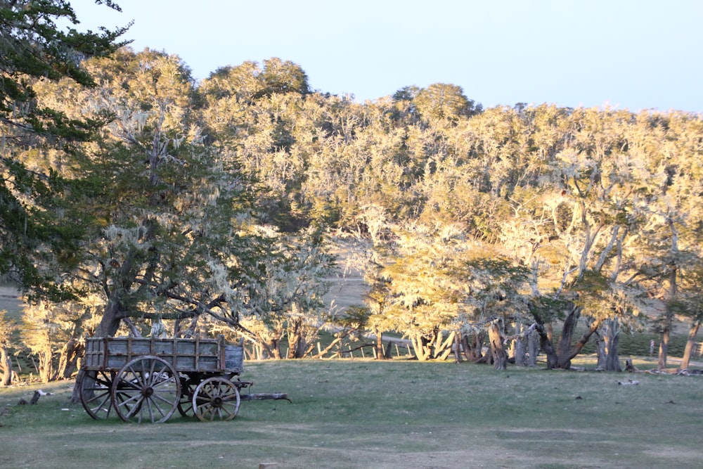a horse drawn wagon in a field with trees in the background