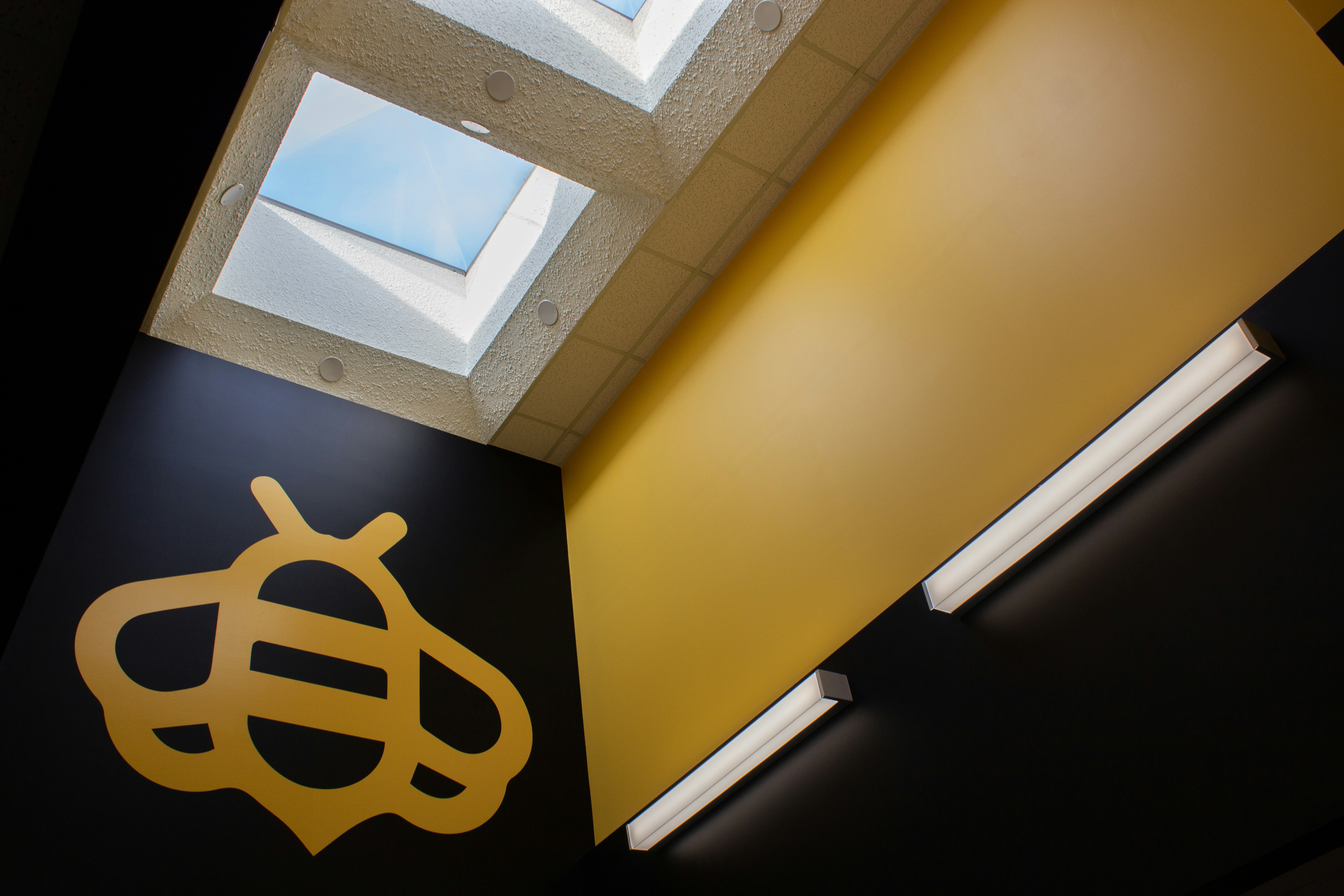 Traditional building ceiling