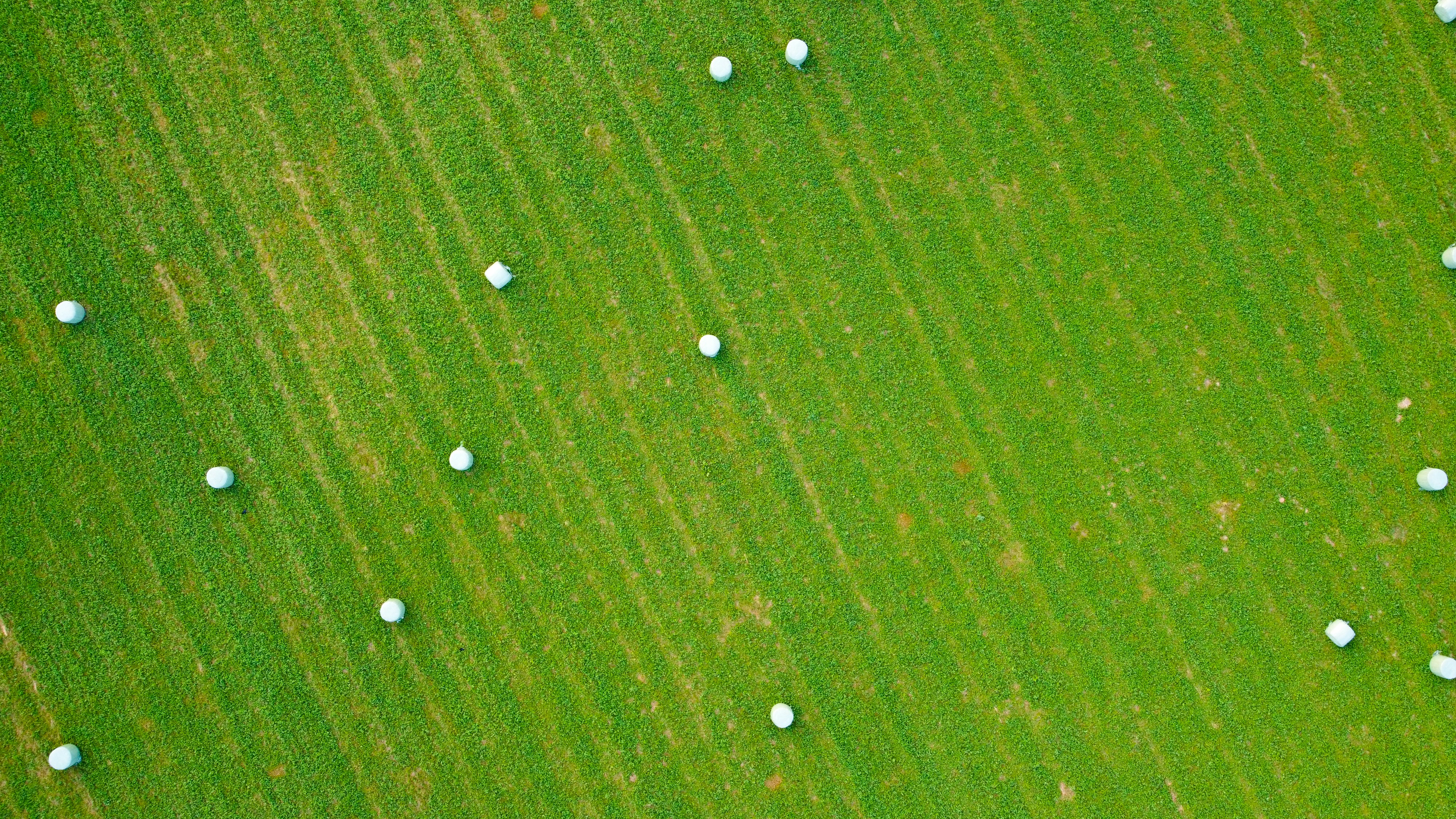 Pickleball court diagram highlighting strategic dinking zones and optimal shot angles for skill progression