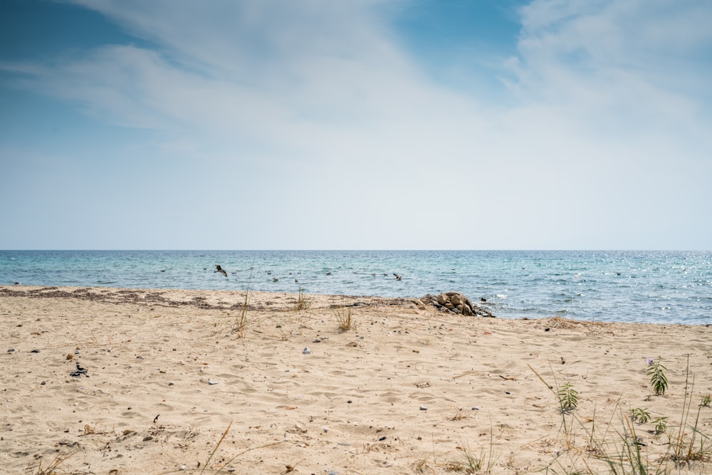 a sandy beach with a body of water in the background