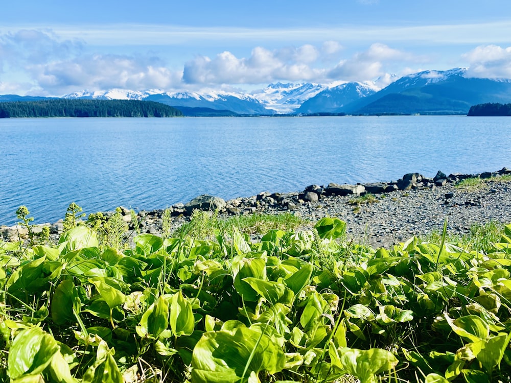 a view of a body of water with mountains in the background