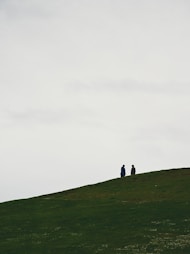 a couple of people standing on top of a lush green hillside