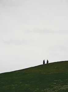 a couple of people standing on top of a lush green hillside