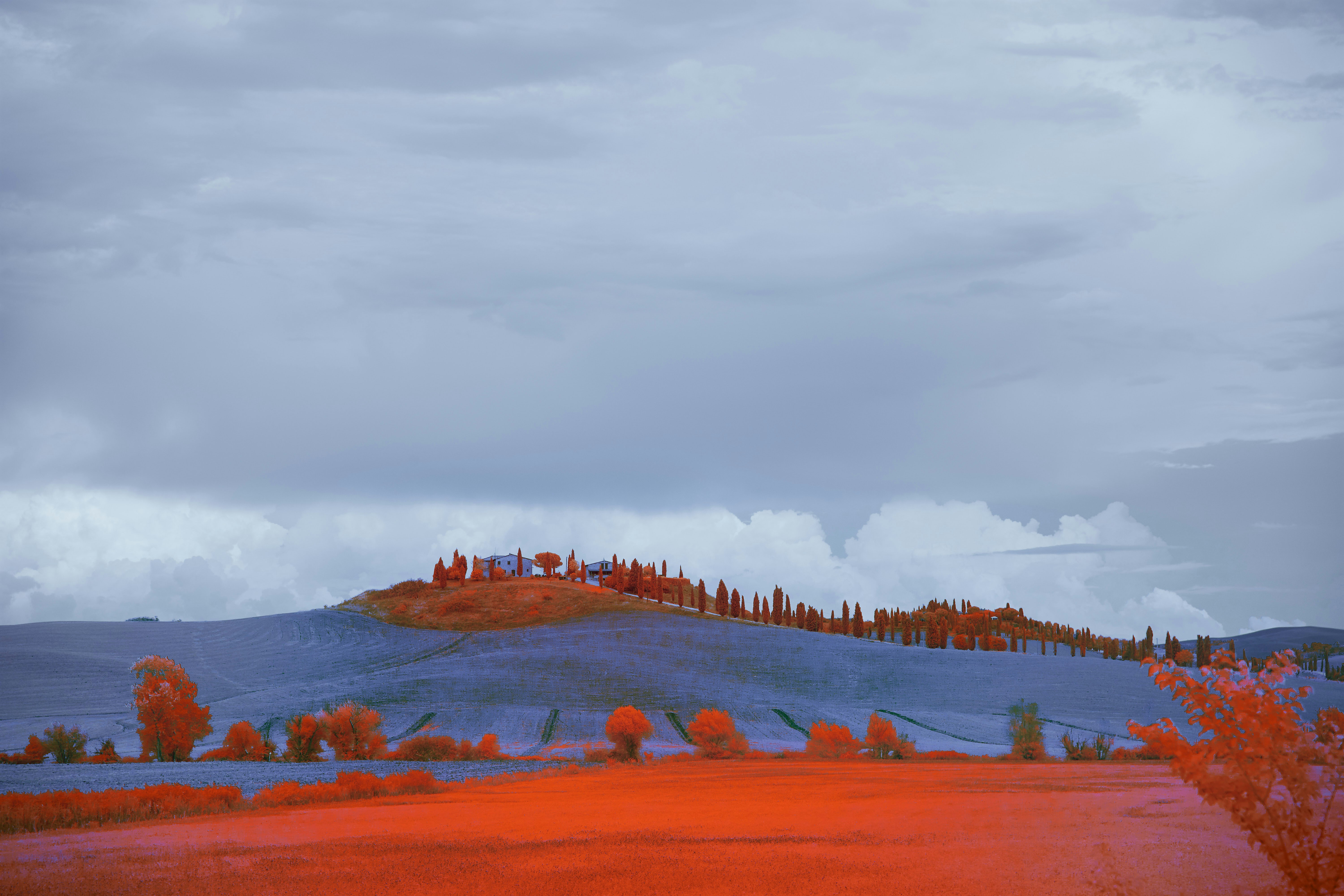 Photo by wolfgang_hasselmann