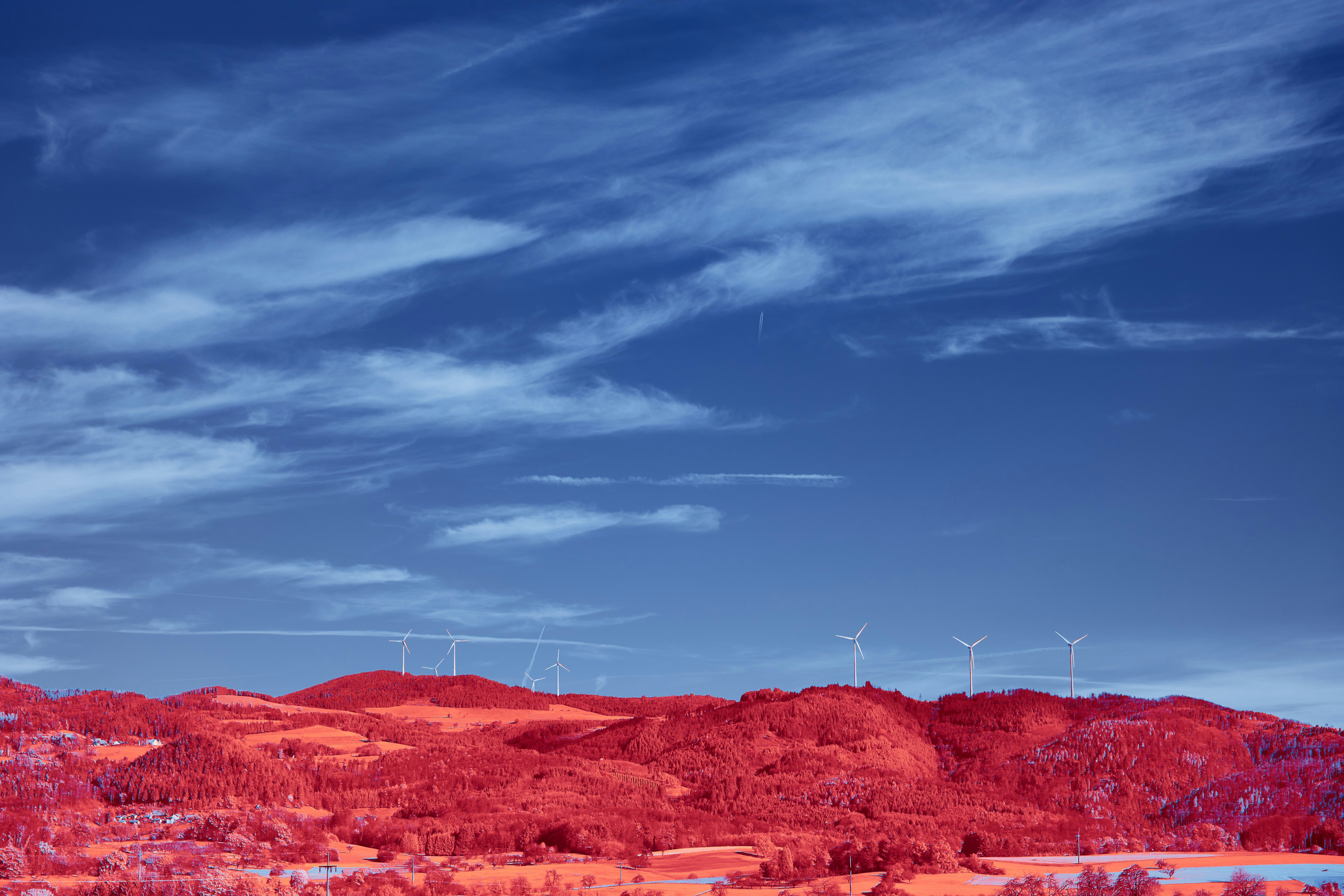 Photo by wolfgang_hasselmann