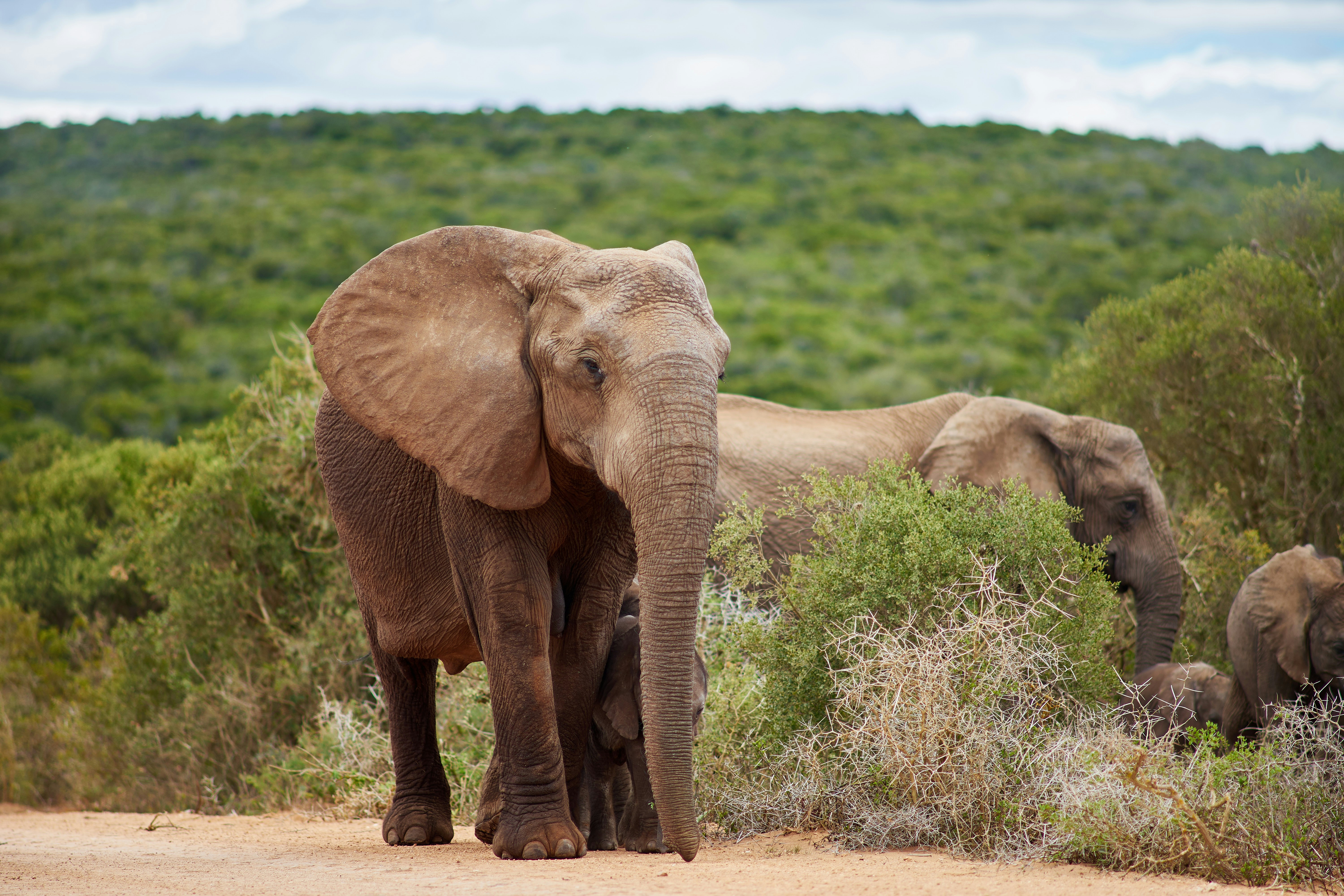 Photo by wolfgang_hasselmann