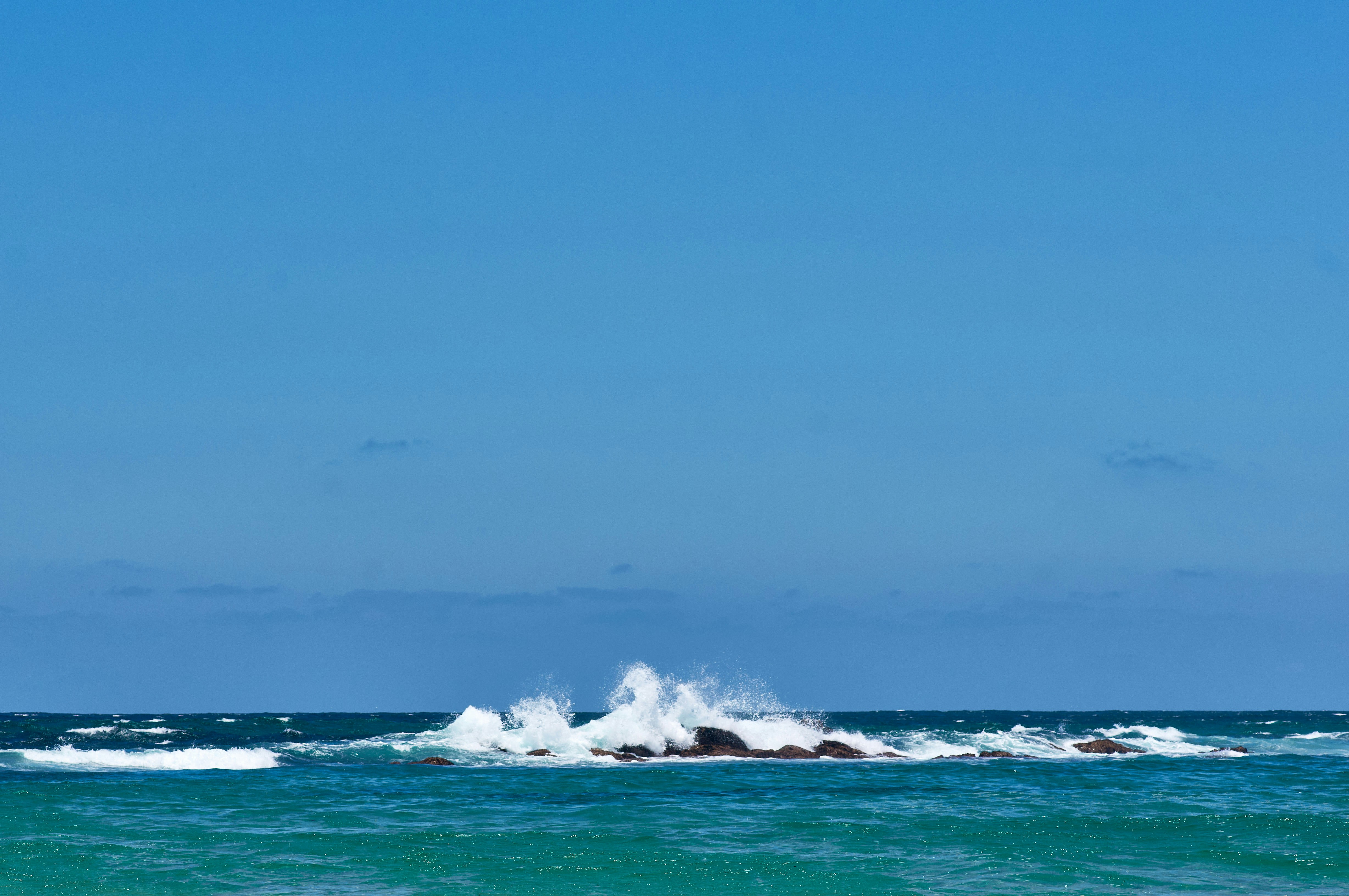 Photo by wolfgang_hasselmann