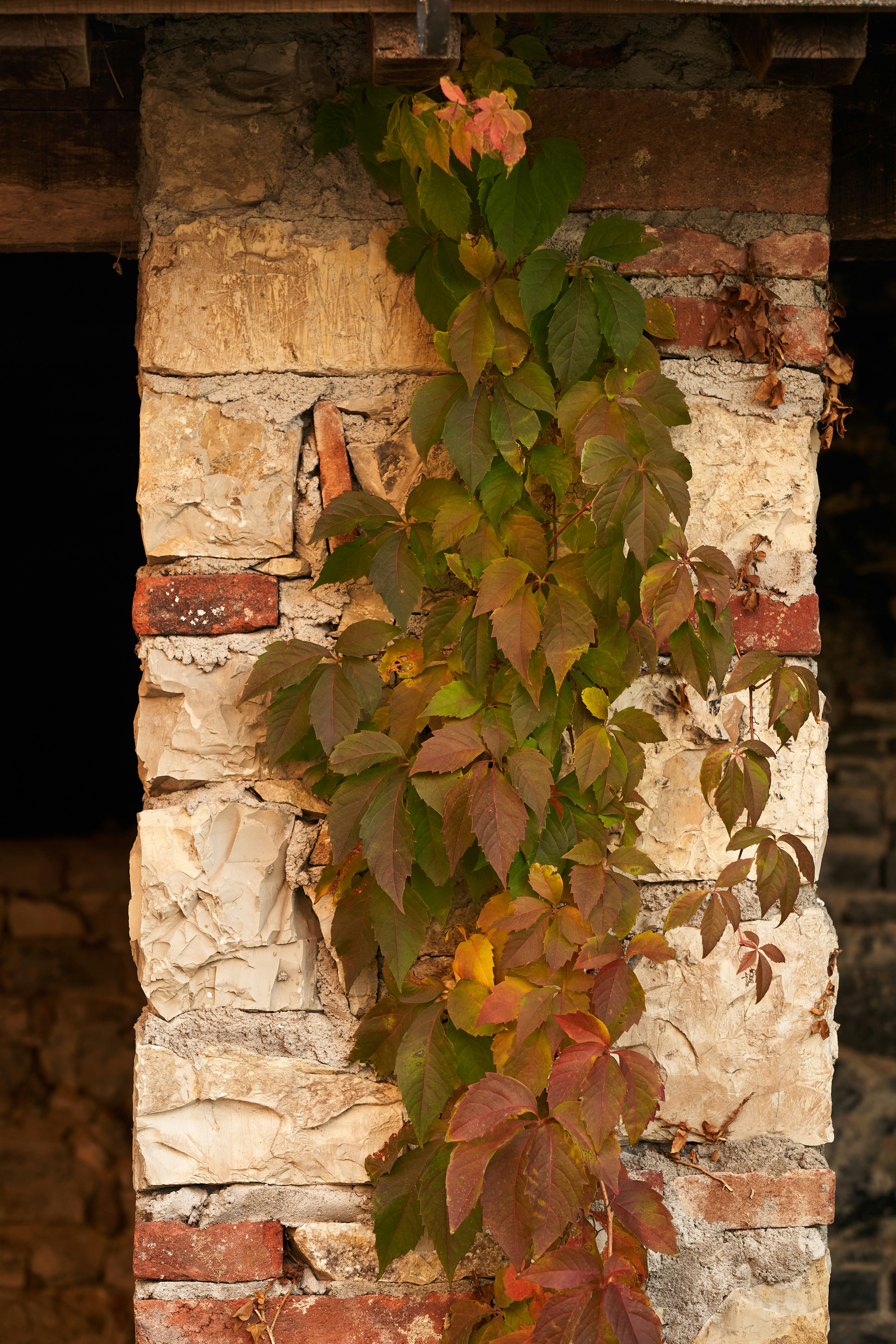 Photo by wolfgang_hasselmann