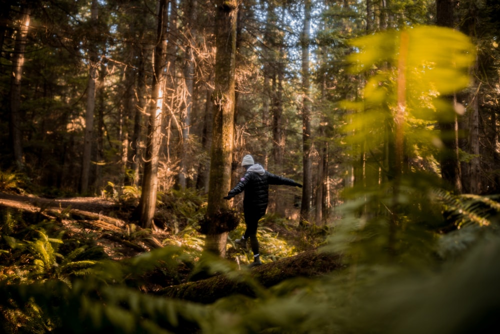 a person standing in the middle of a forest