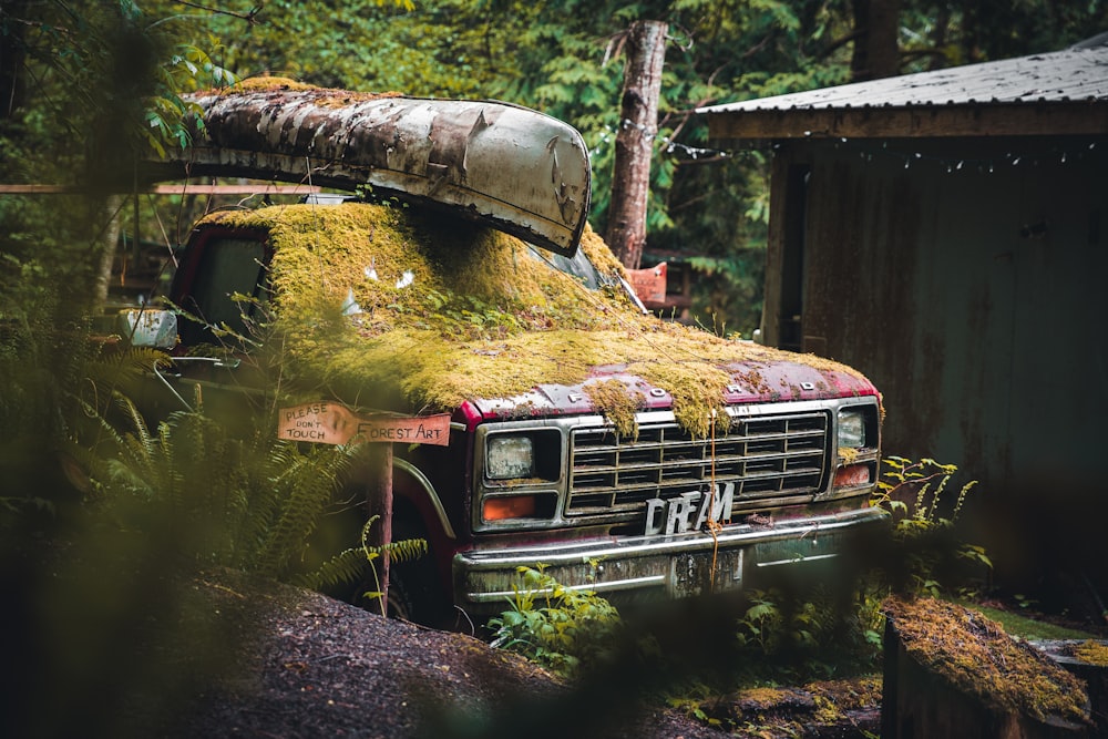 a rusted out truck with moss growing on the hood