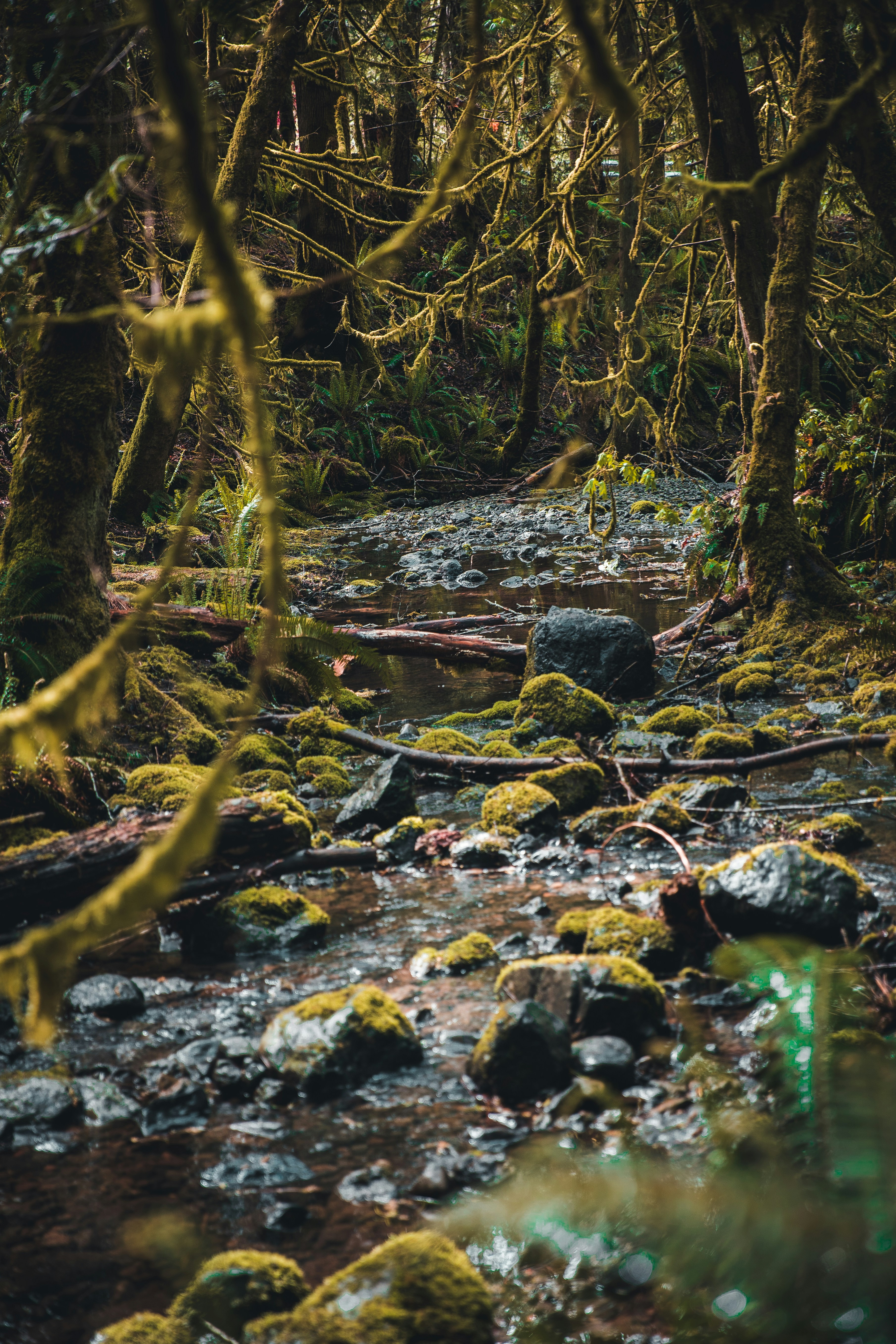 Photo by visualsbyroyalz